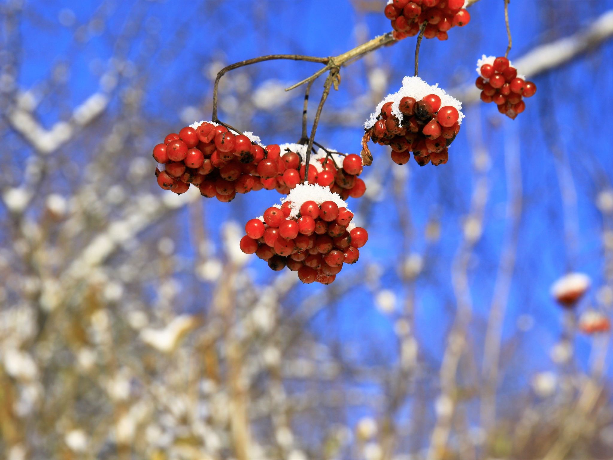 Exklusive Ferienwohnung mit eigener Sauna-Binnen