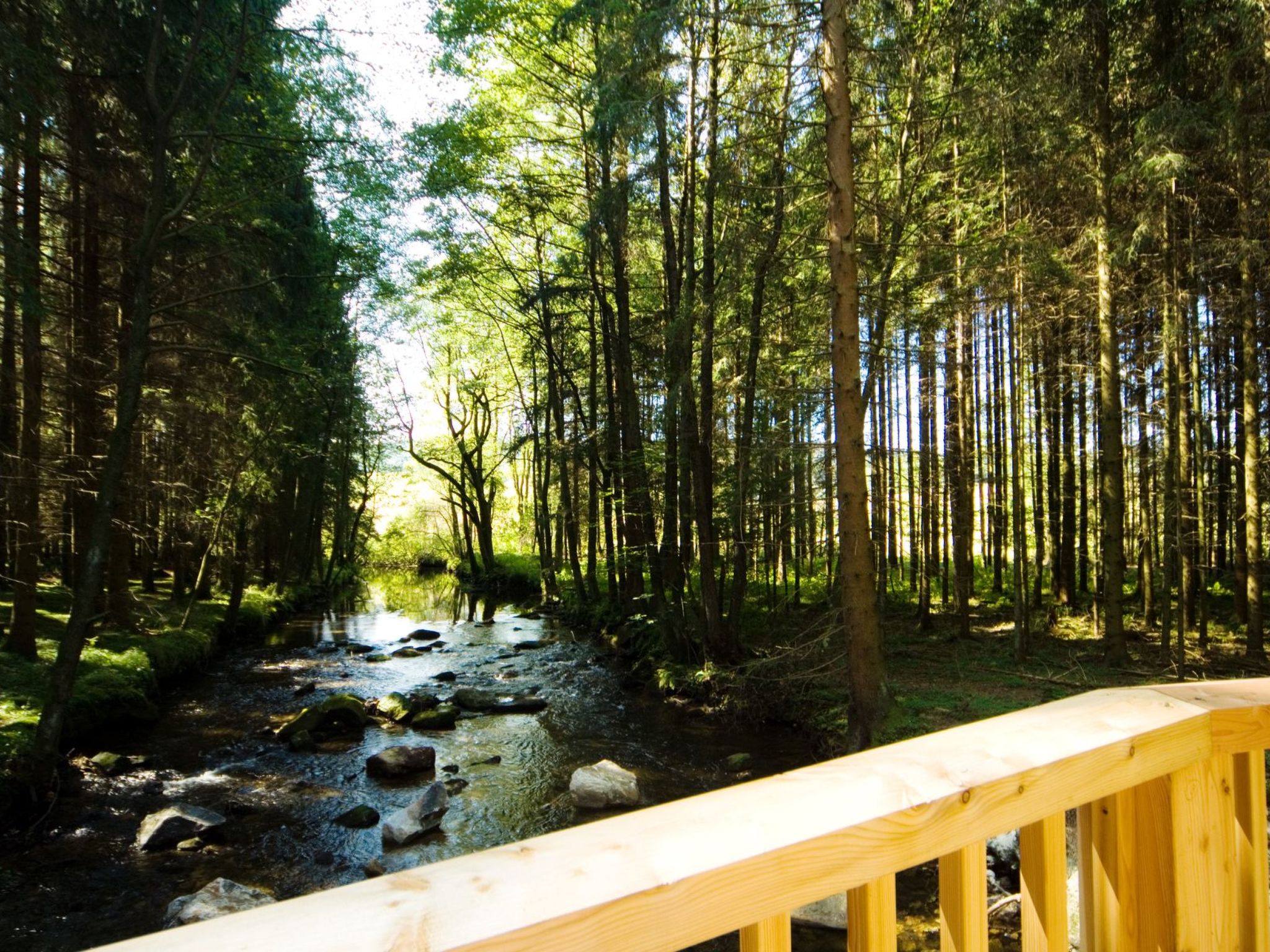 Exklusive Ferienwohnung mit eigener Sauna-Binnen