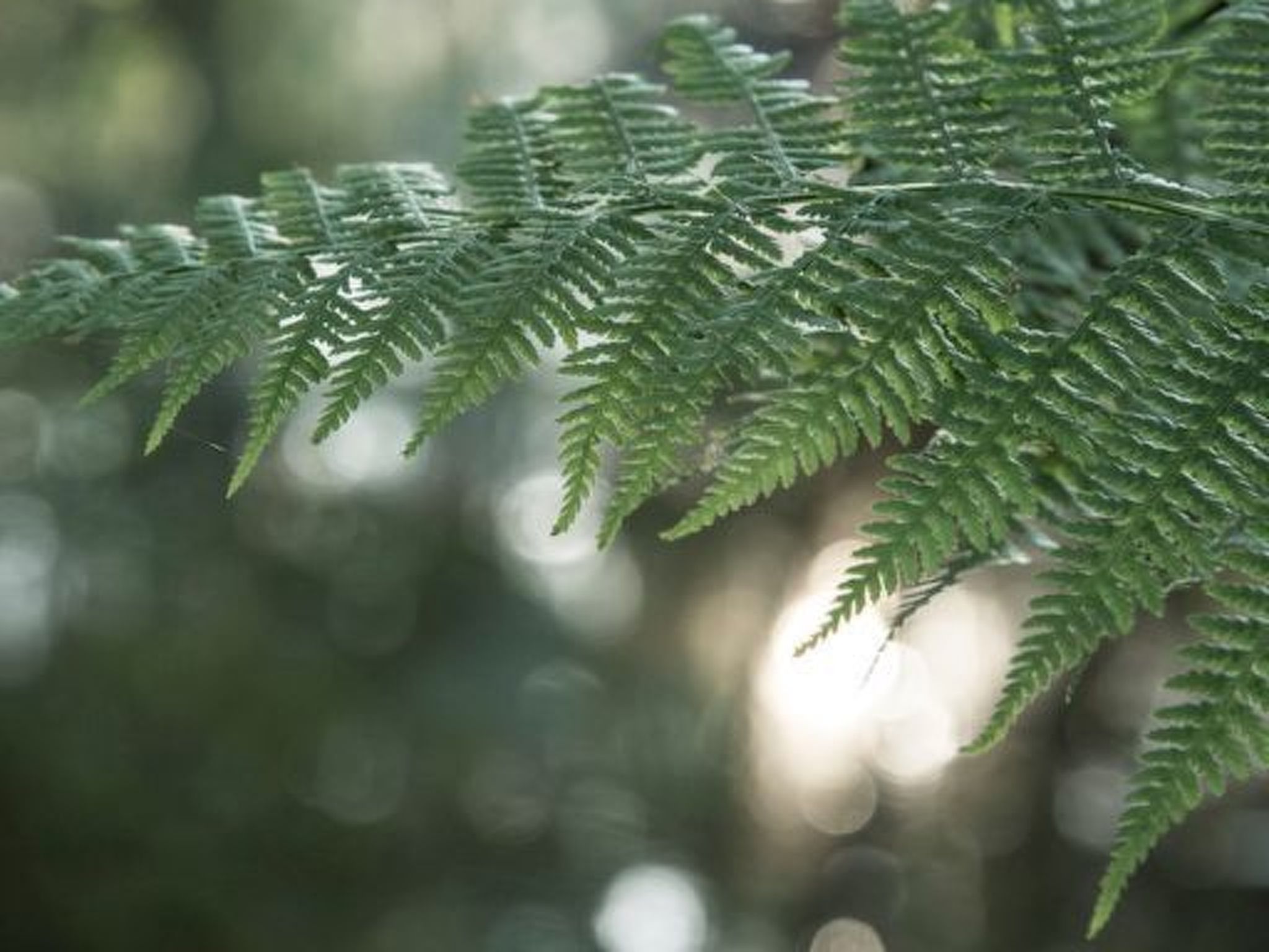 Exklusive Ferienwohnung mit eigener Sauna-Binnen
