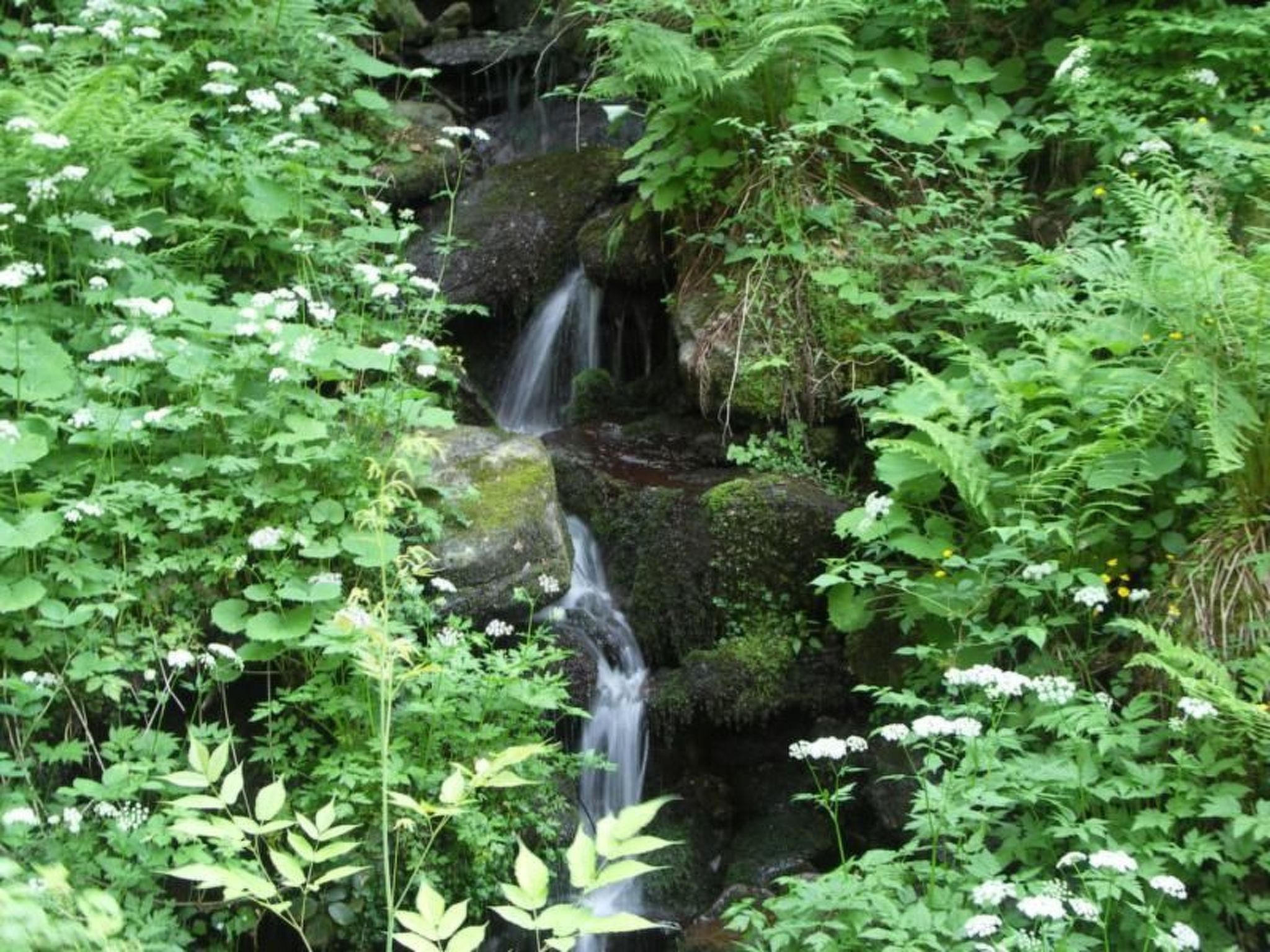 Quellenhof Kollnburg-Binnen