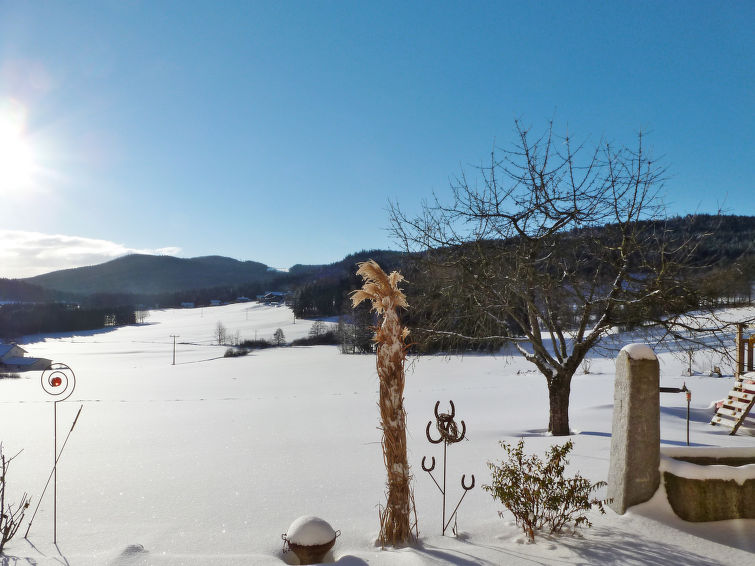 Appartement Freisinger