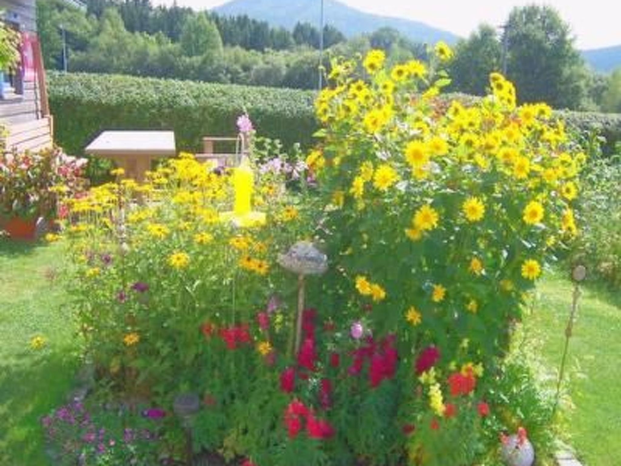 Appartement mit Terrasse, Garten und Grill-Binnen