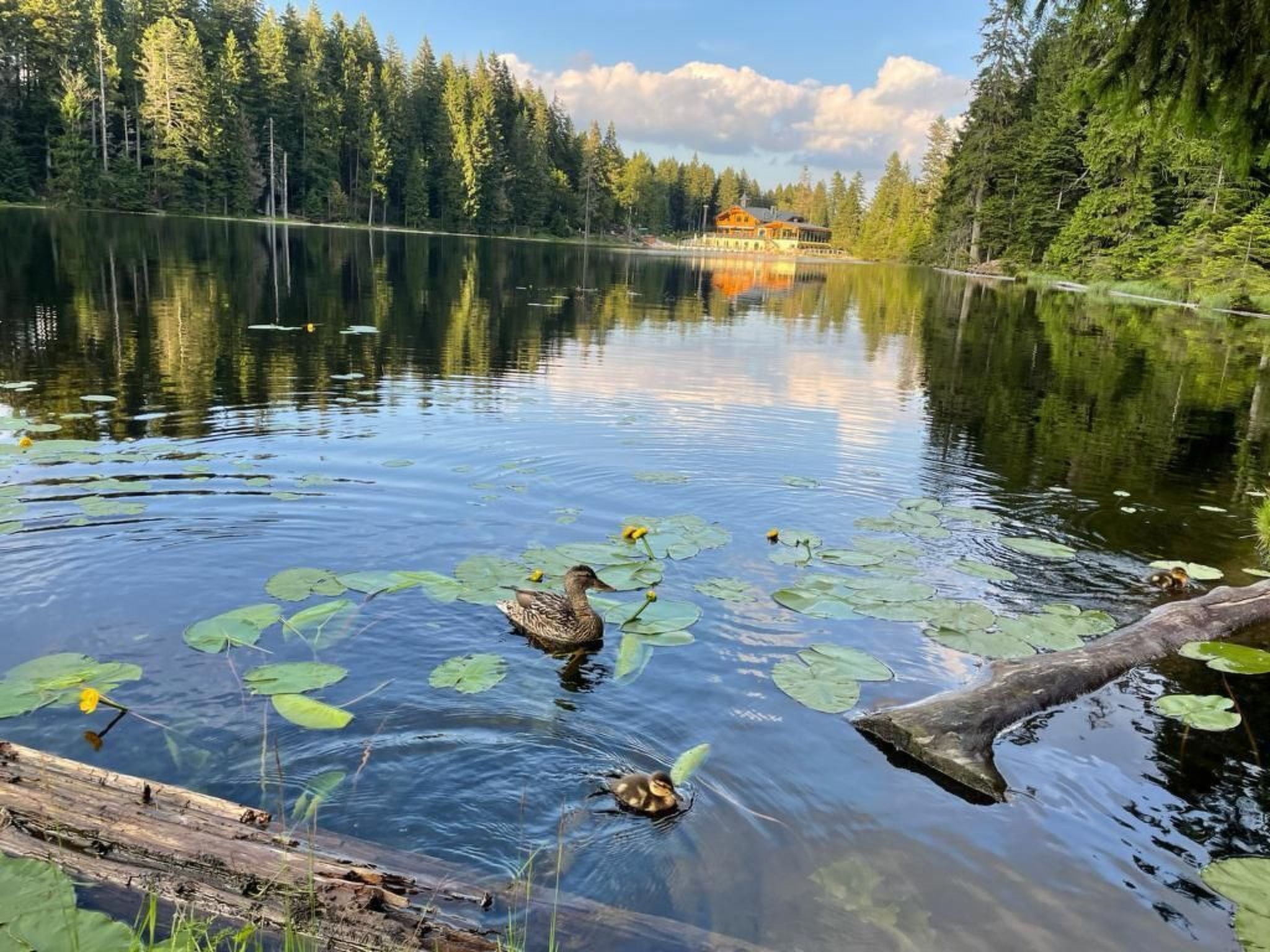 Gesamte Wohnung in Böbrach mit Garten und Grill-Image-tags.info