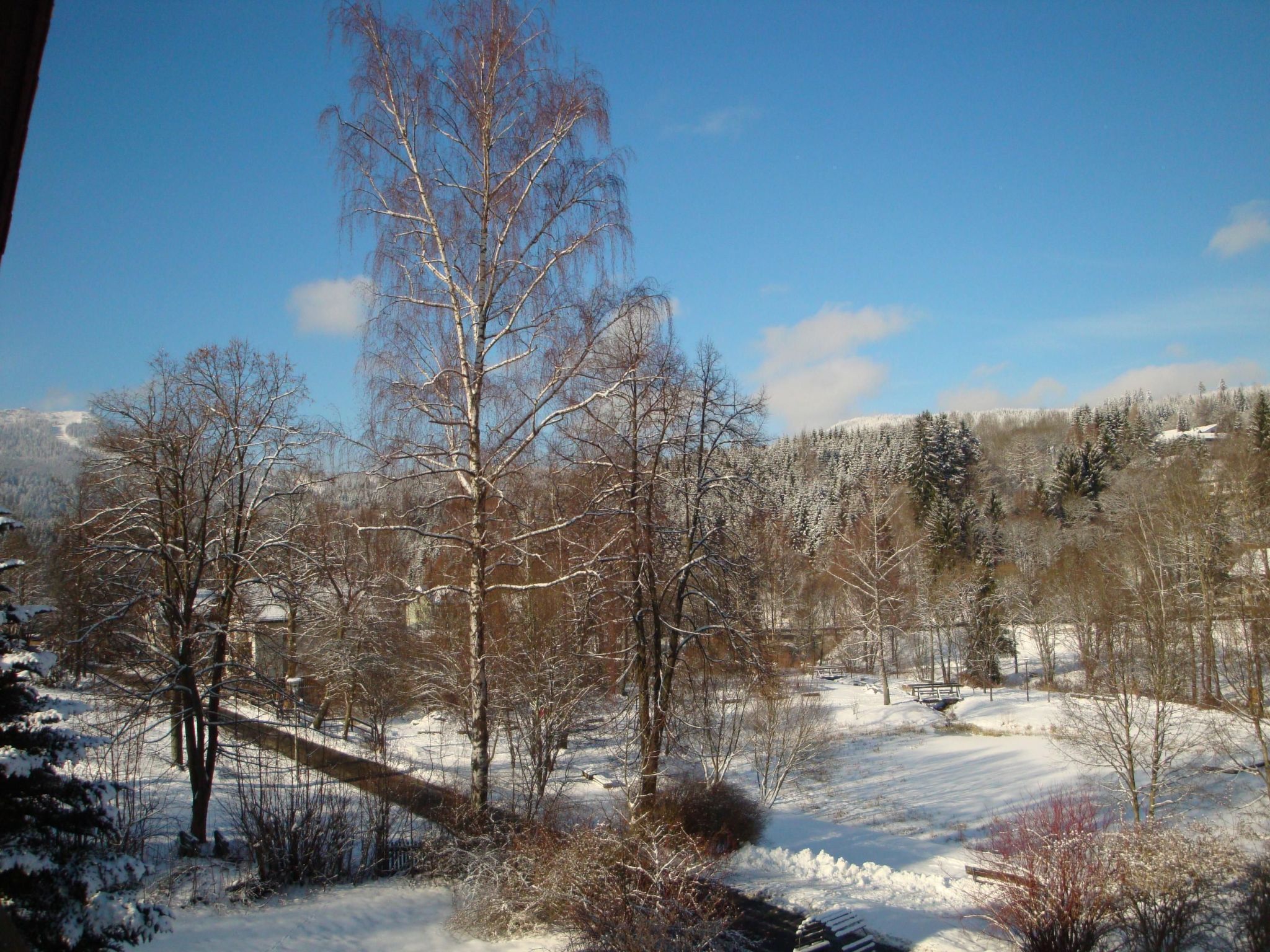 Wiesengrund in Bayerisch Eisenstein-Binnen