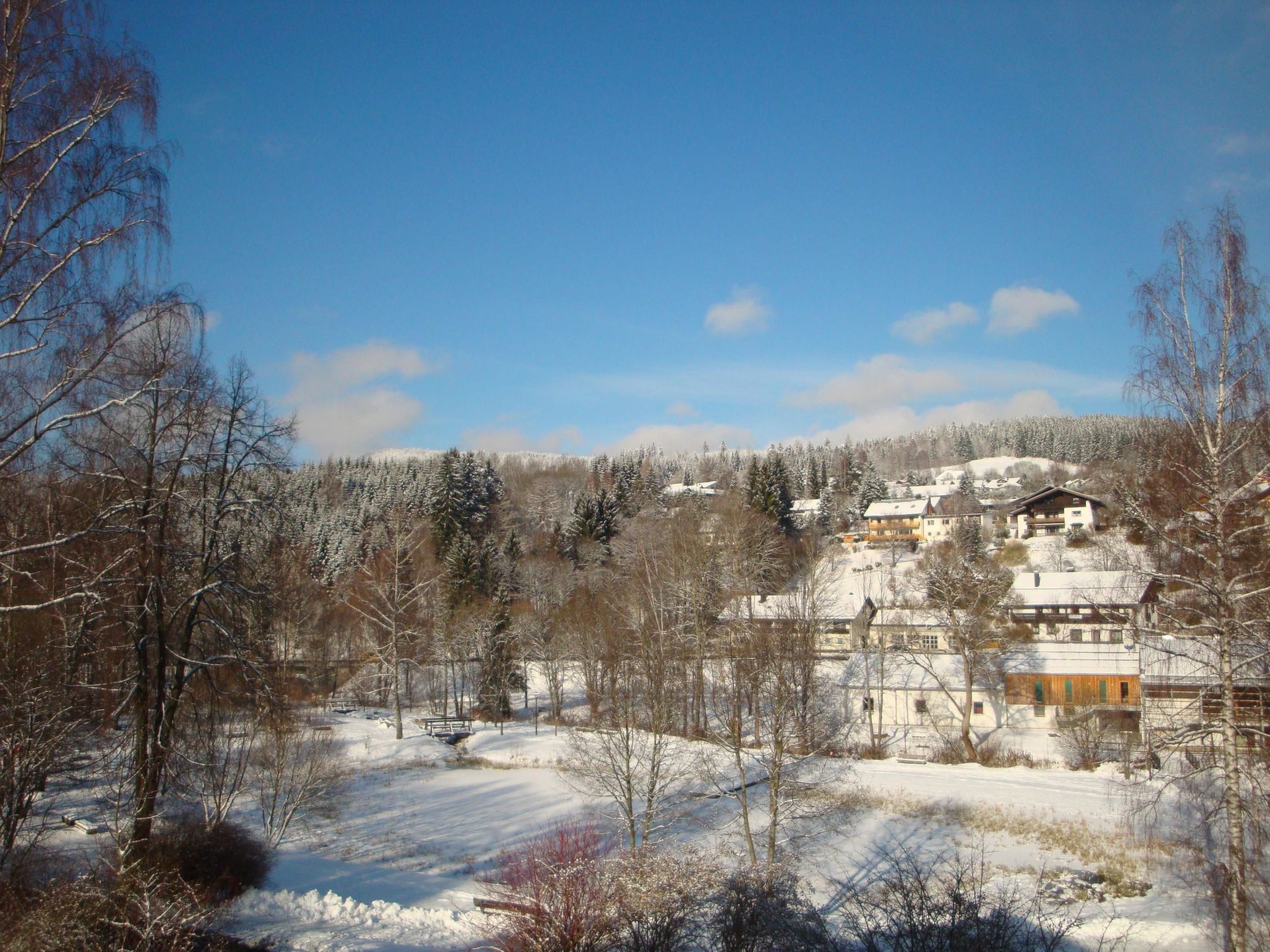Wiesengrund in Bayerisch Eisenstein-Binnen