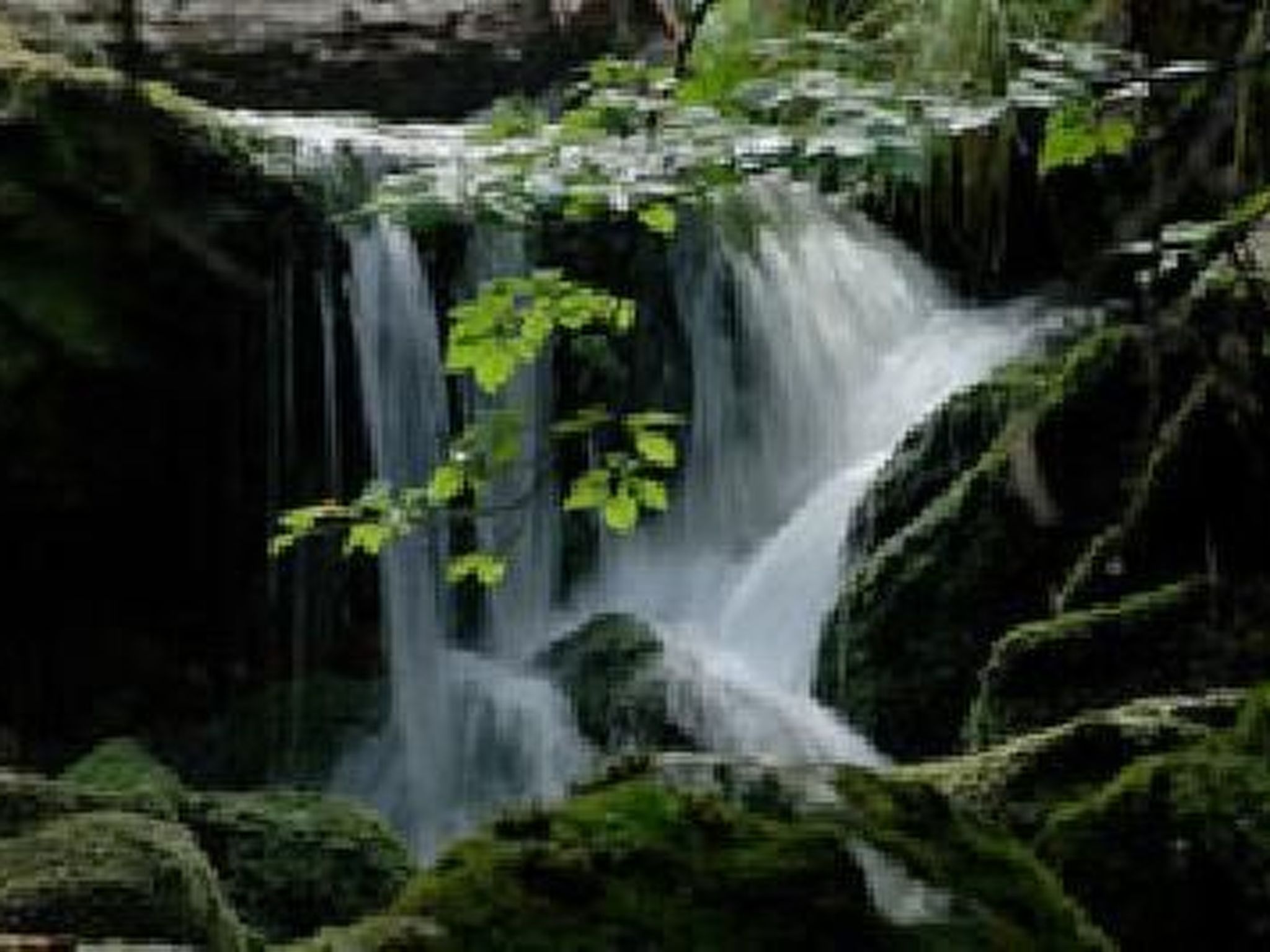 Seitz 2 in Bayerisch Eisenstein-Binnen