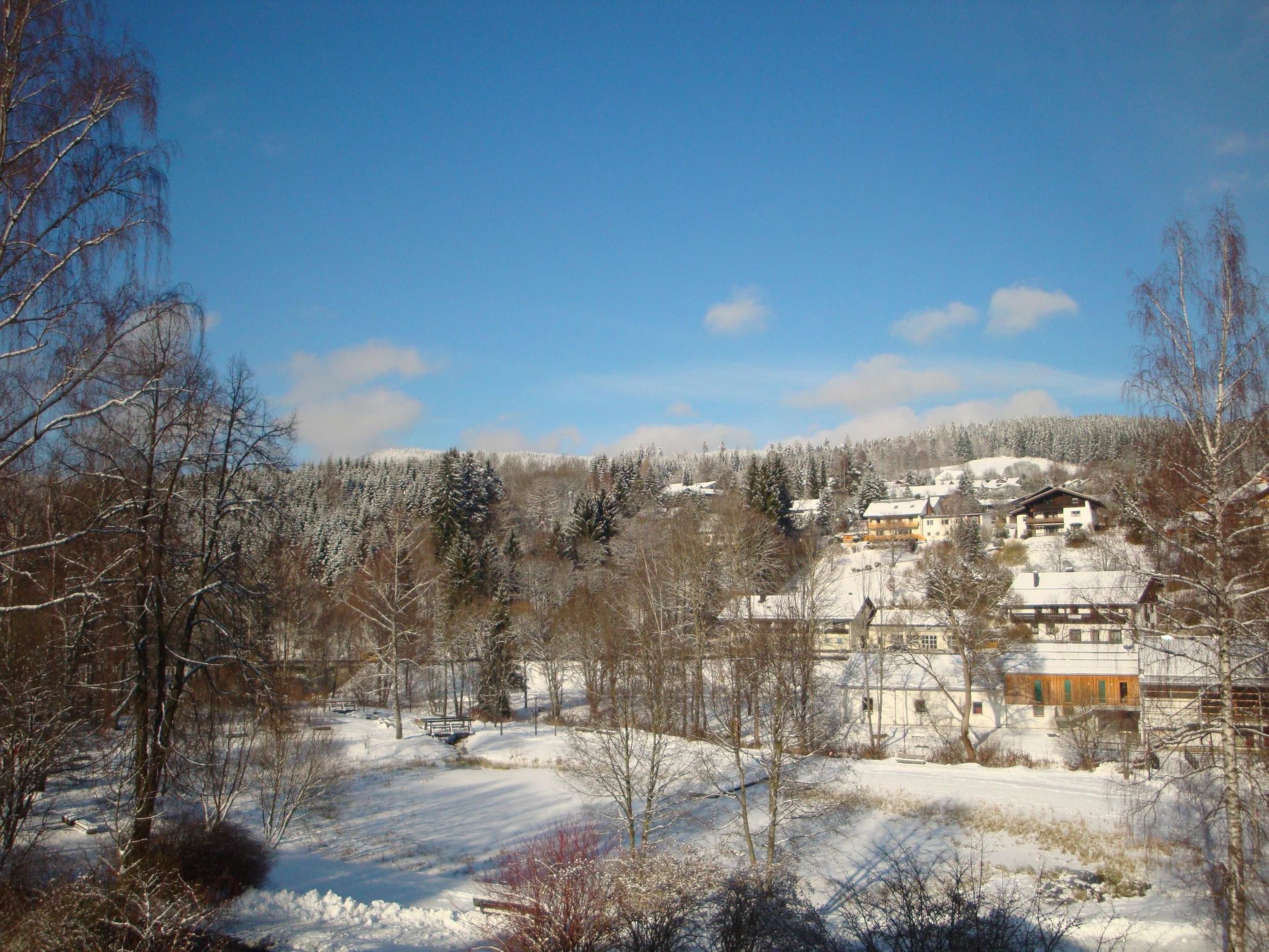Seitz 2 in Bayerisch Eisenstein-Binnen