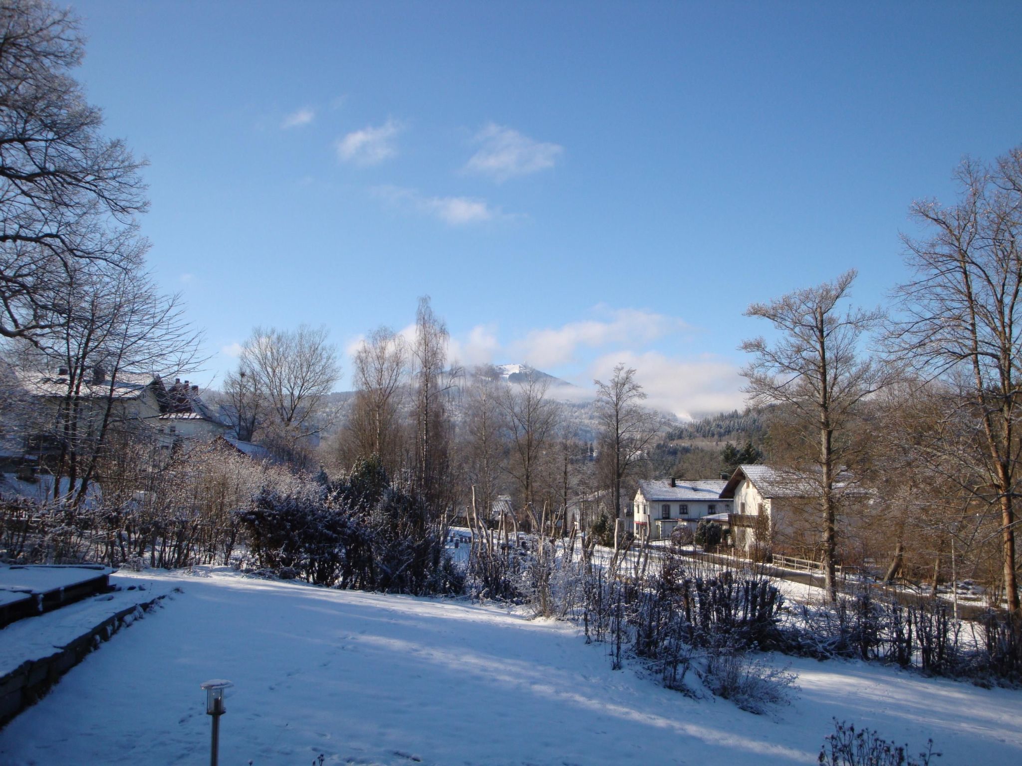 Seitz 2 in Bayerisch Eisenstein-Binnen