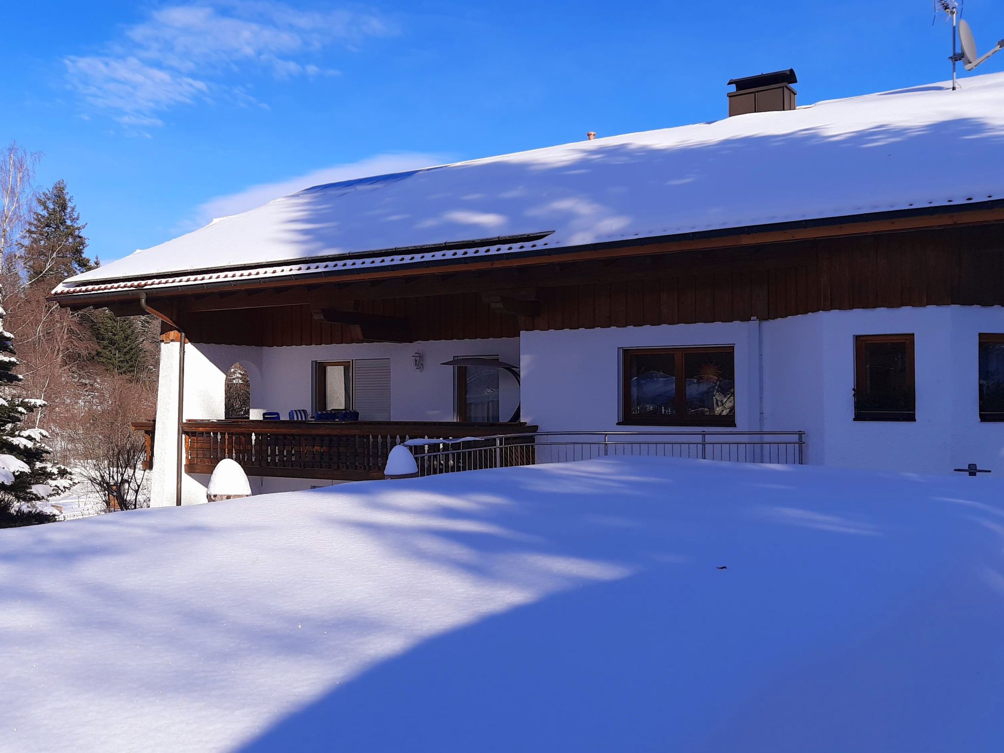 Seitz 2 in Bayerisch Eisenstein-Binnen