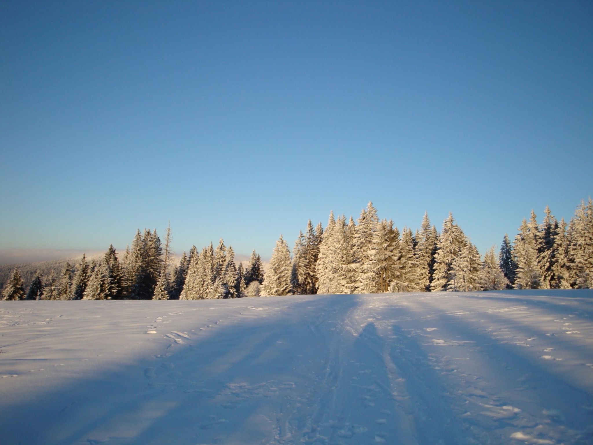 Seitz 2 in Bayerisch Eisenstein-Binnen