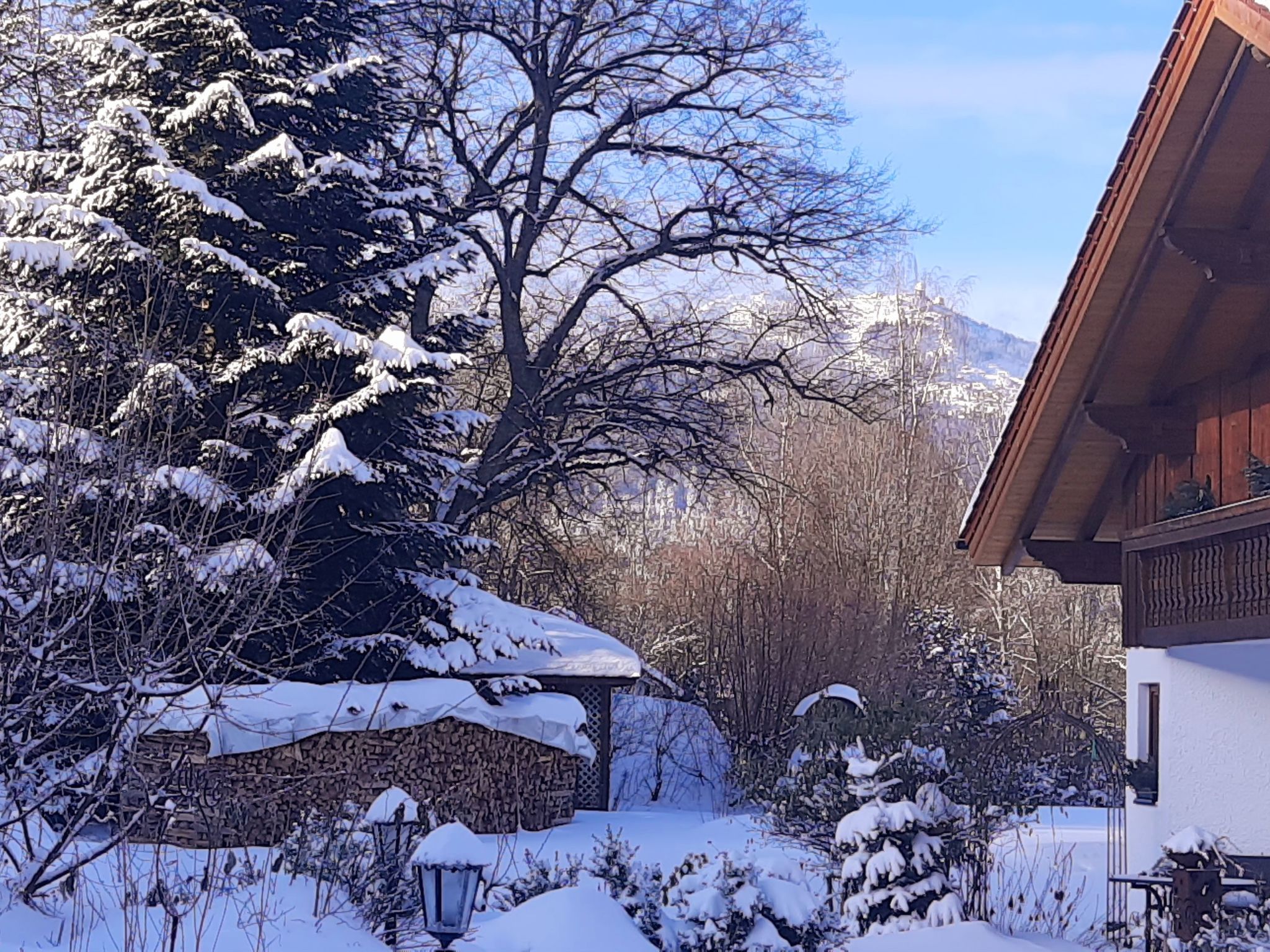 Seitz 2 in Bayerisch Eisenstein-Binnen