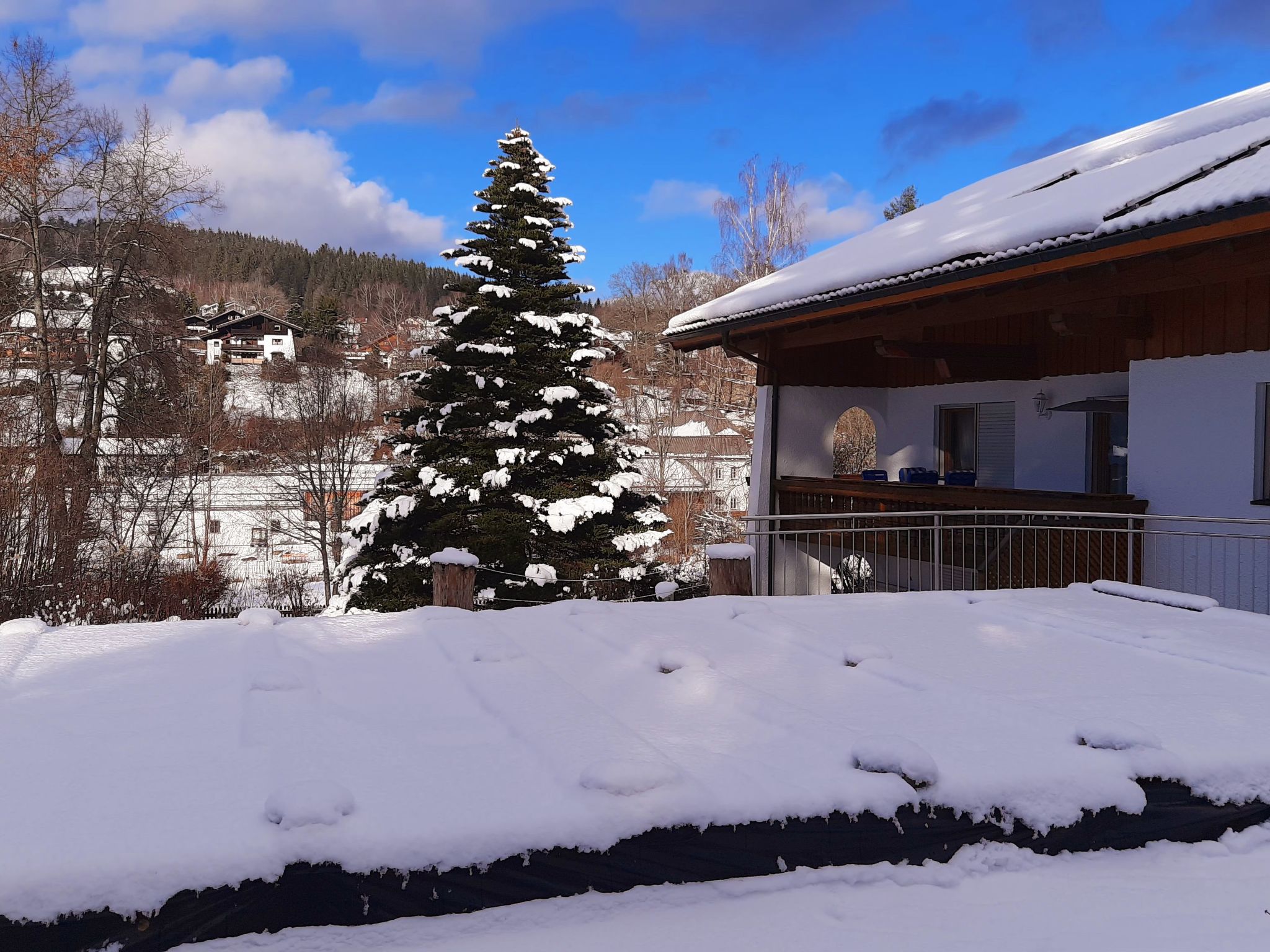 Seitz 2 in Bayerisch Eisenstein-Binnen