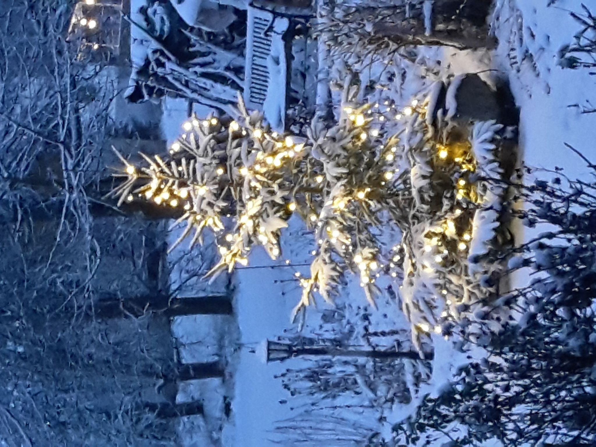 Seitz 2 in Bayerisch Eisenstein-Binnen