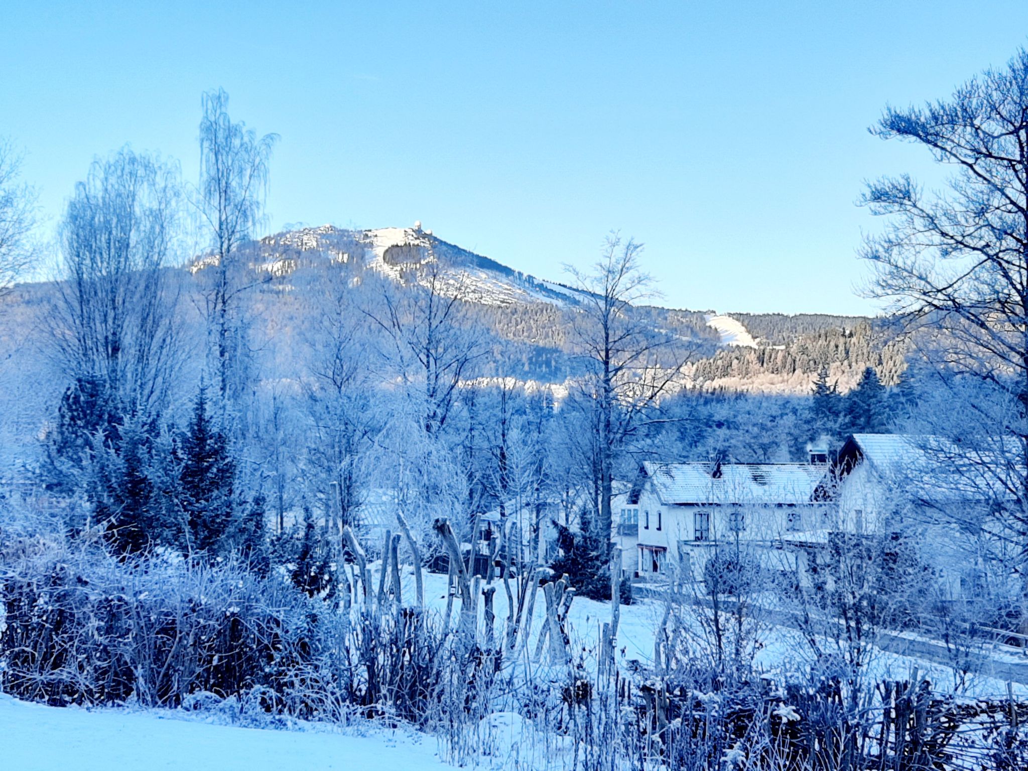 Seitz 2 in Bayerisch Eisenstein-Binnen
