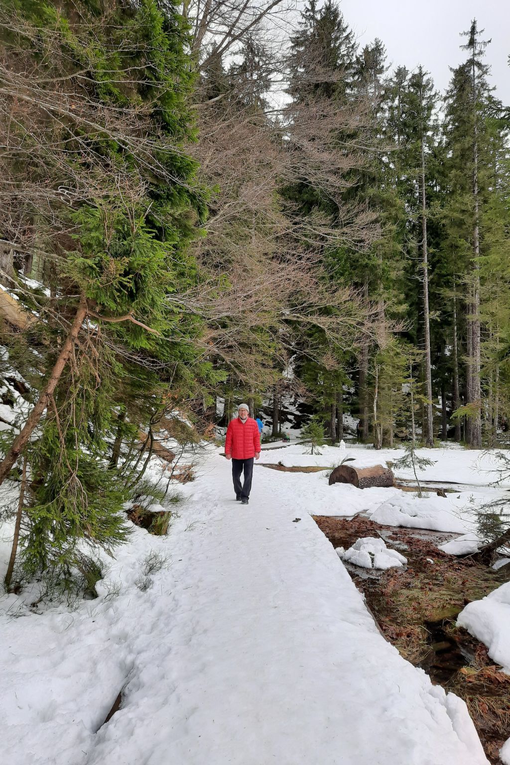 Seitz 2 in Bayerisch Eisenstein-Binnen