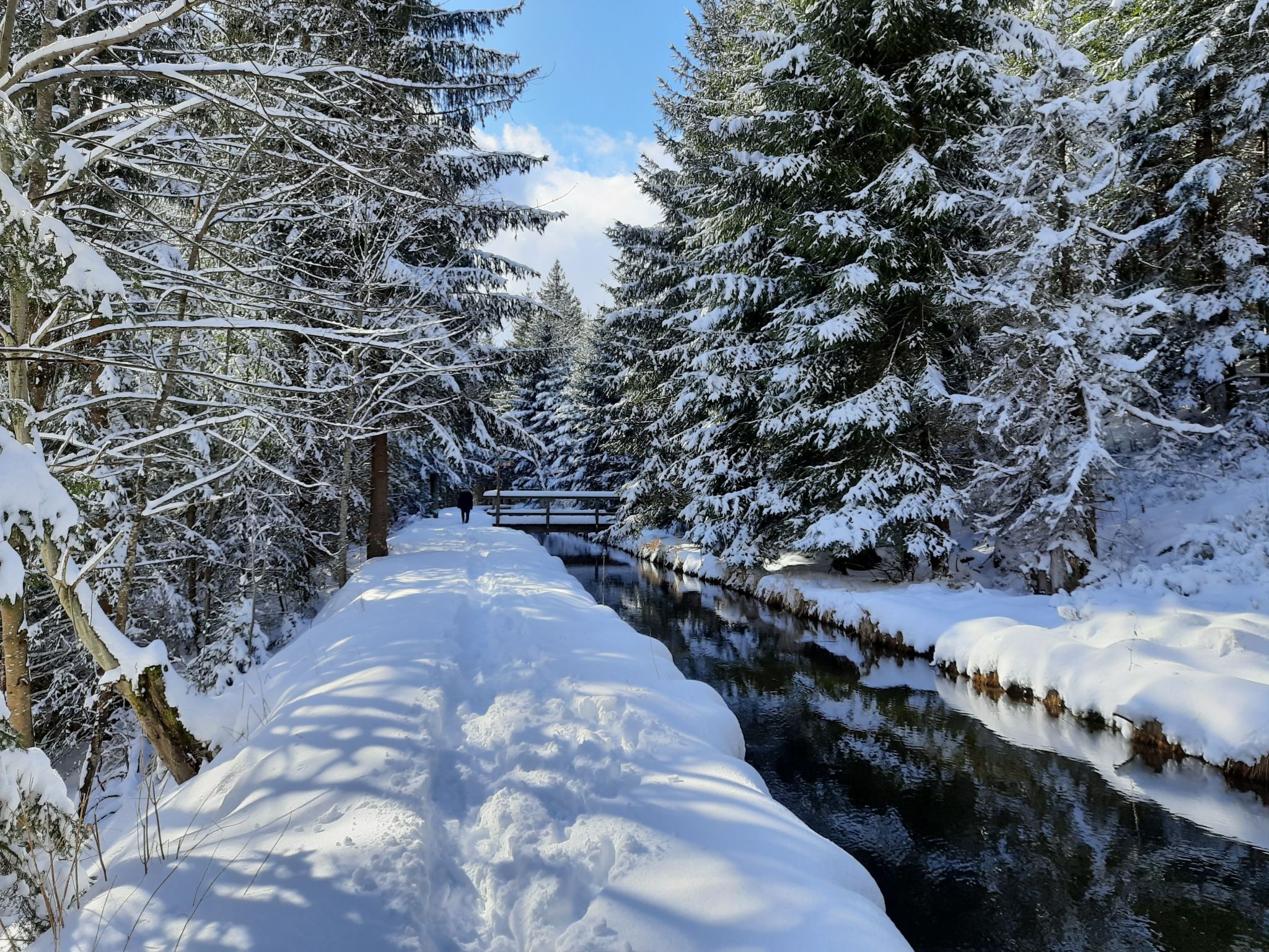 Seitz 2 in Bayerisch Eisenstein-Binnen