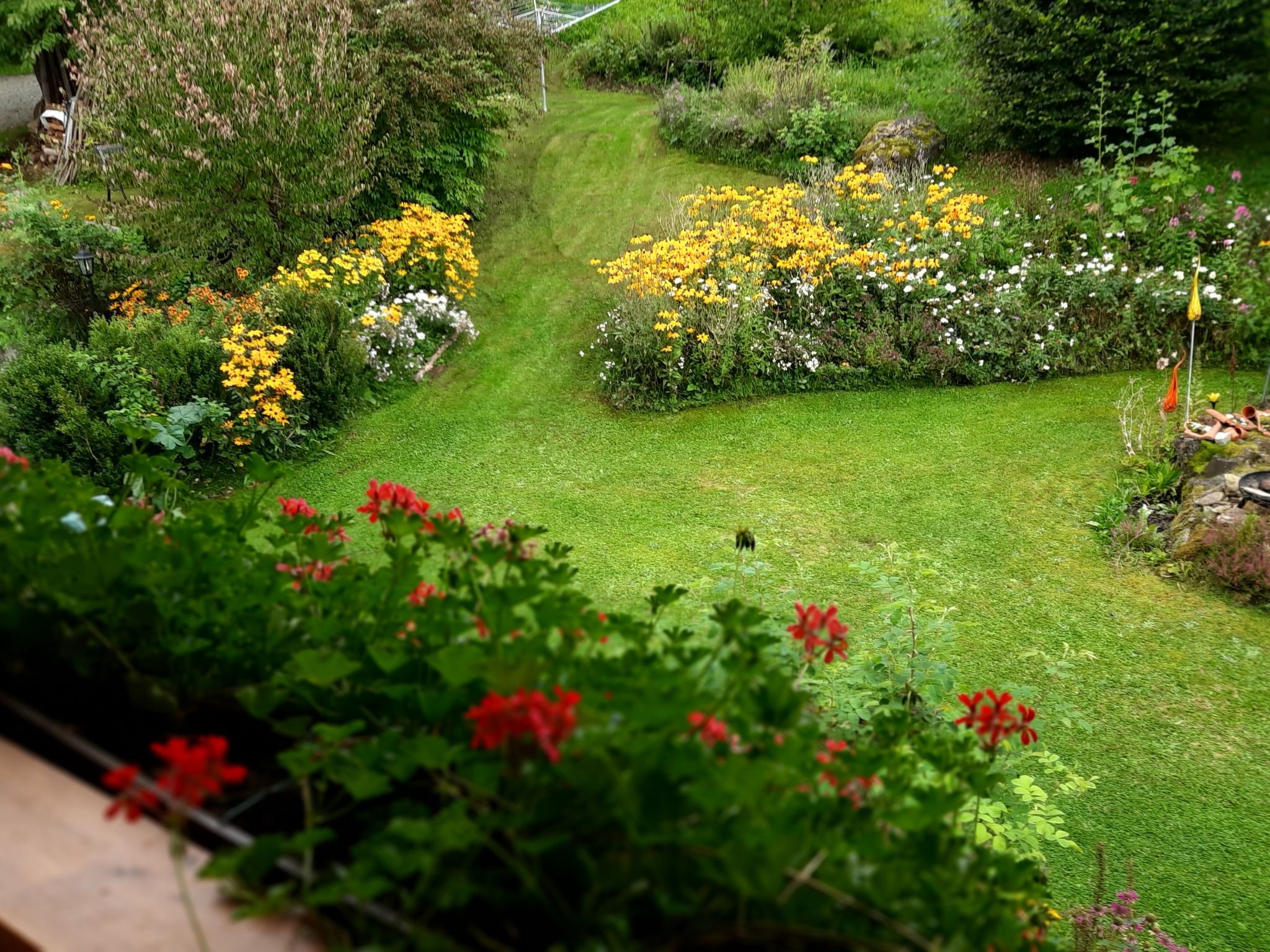 Seitz 1 in Bayerisch Eisenstein-Binnen