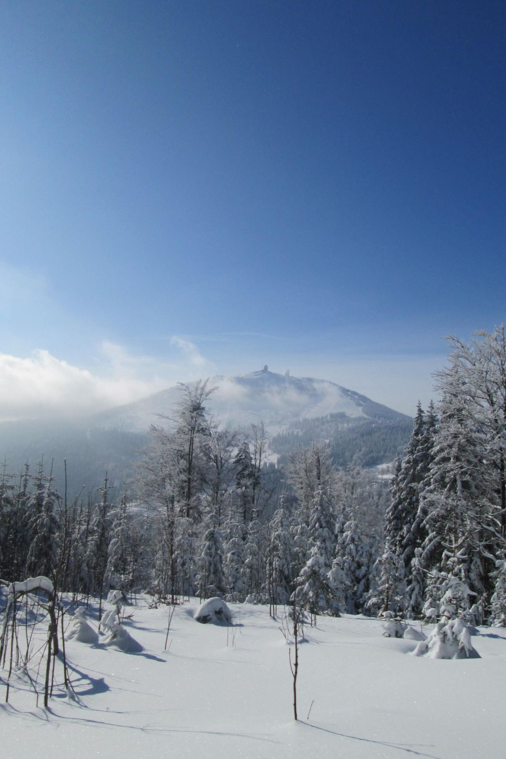 Seitz 1 in Bayerisch Eisenstein-Binnen