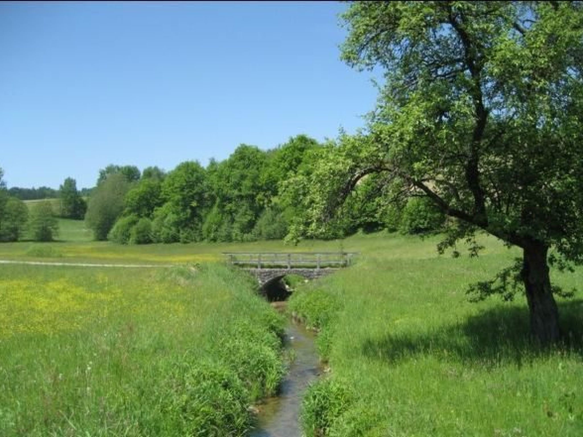 In Röhrnbach mit Grill und Terrasse-Inside