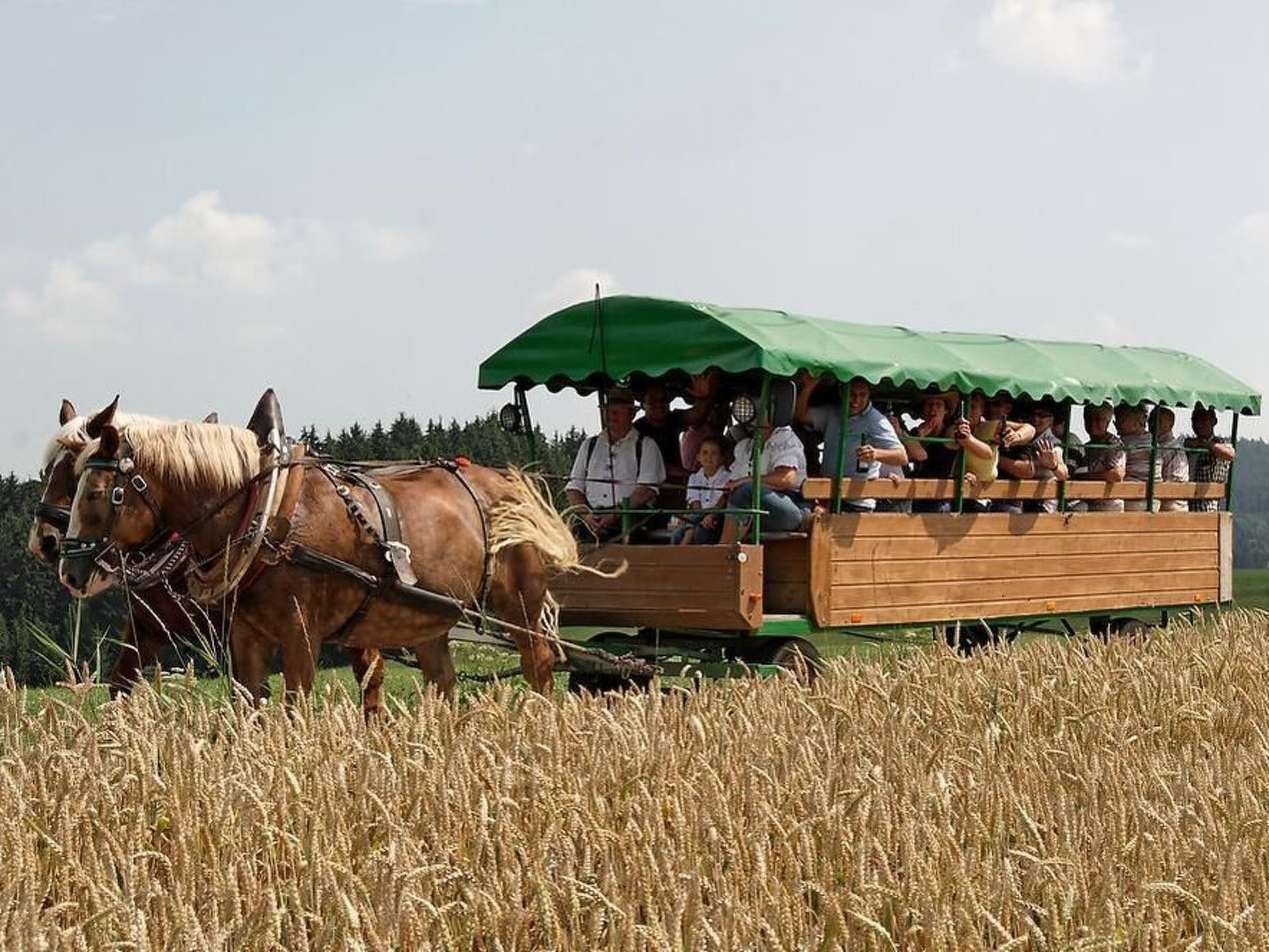 In Röhrnbach mit Grill und Terrasse-Inside