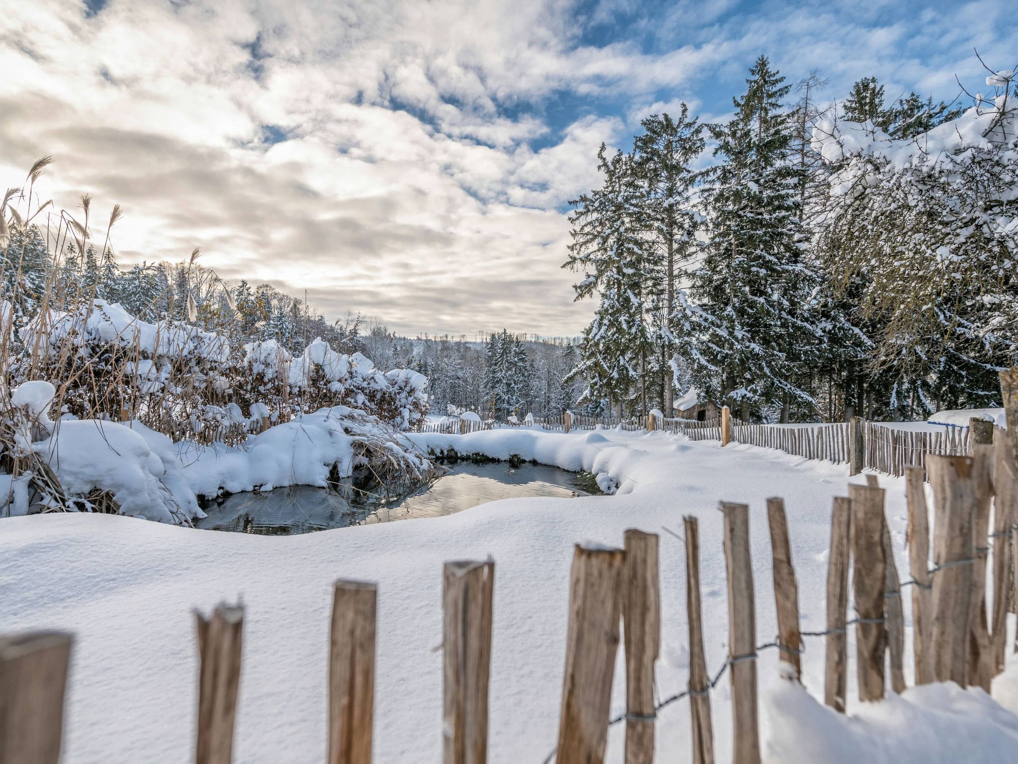 Vakantiehuis in Breitenberg (Duitsland) 1 hond is welkom