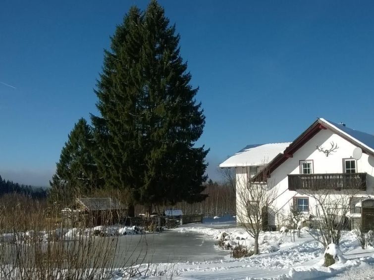Wohnung In Haidmühle Mit Terrasse Und Garten - Haidmühle