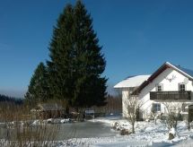 Wohnung in Haidmühle mit Terrasse und Garten
