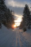 Birkenhain