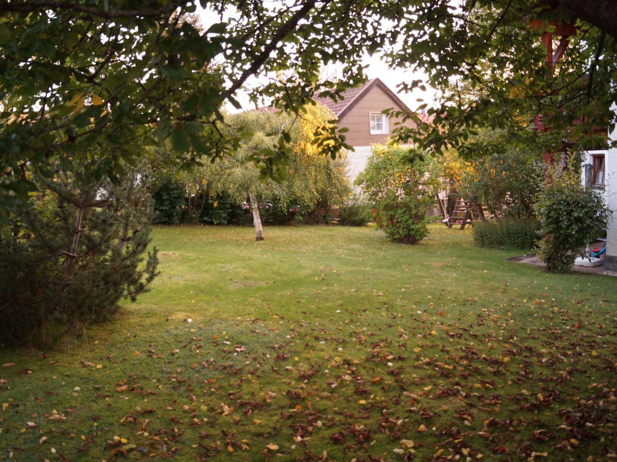 In Ludwigsreut mit Terrasse, Garten und Grill-Image-tags.info