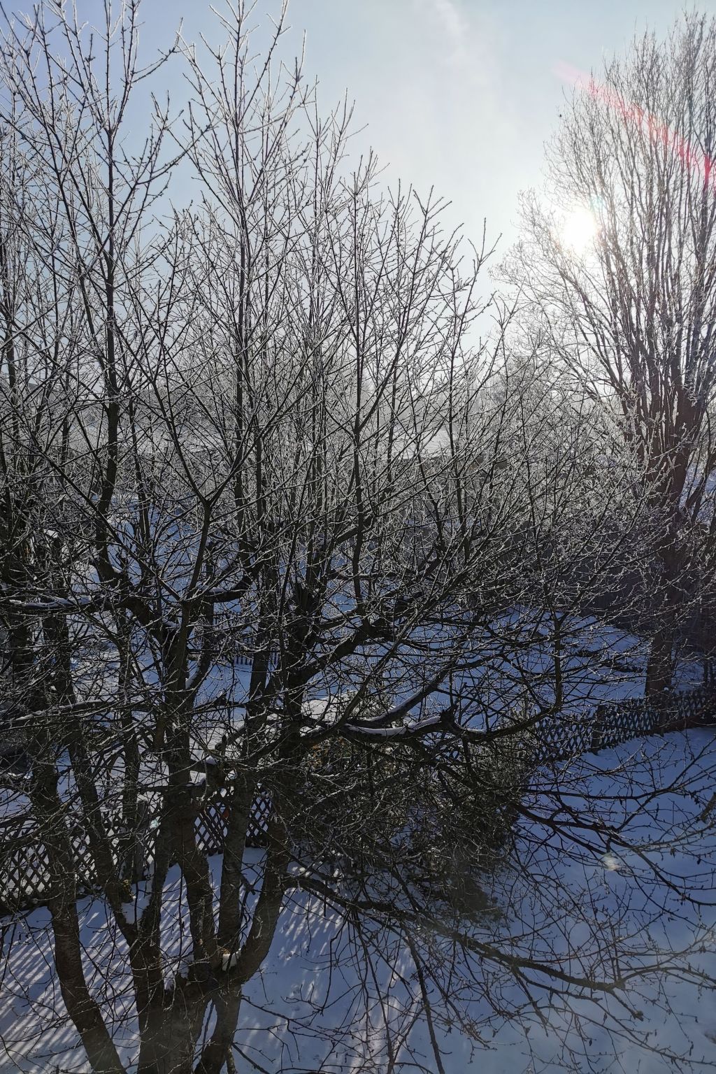 Mit großer Dachterrasse-Image-tags.info