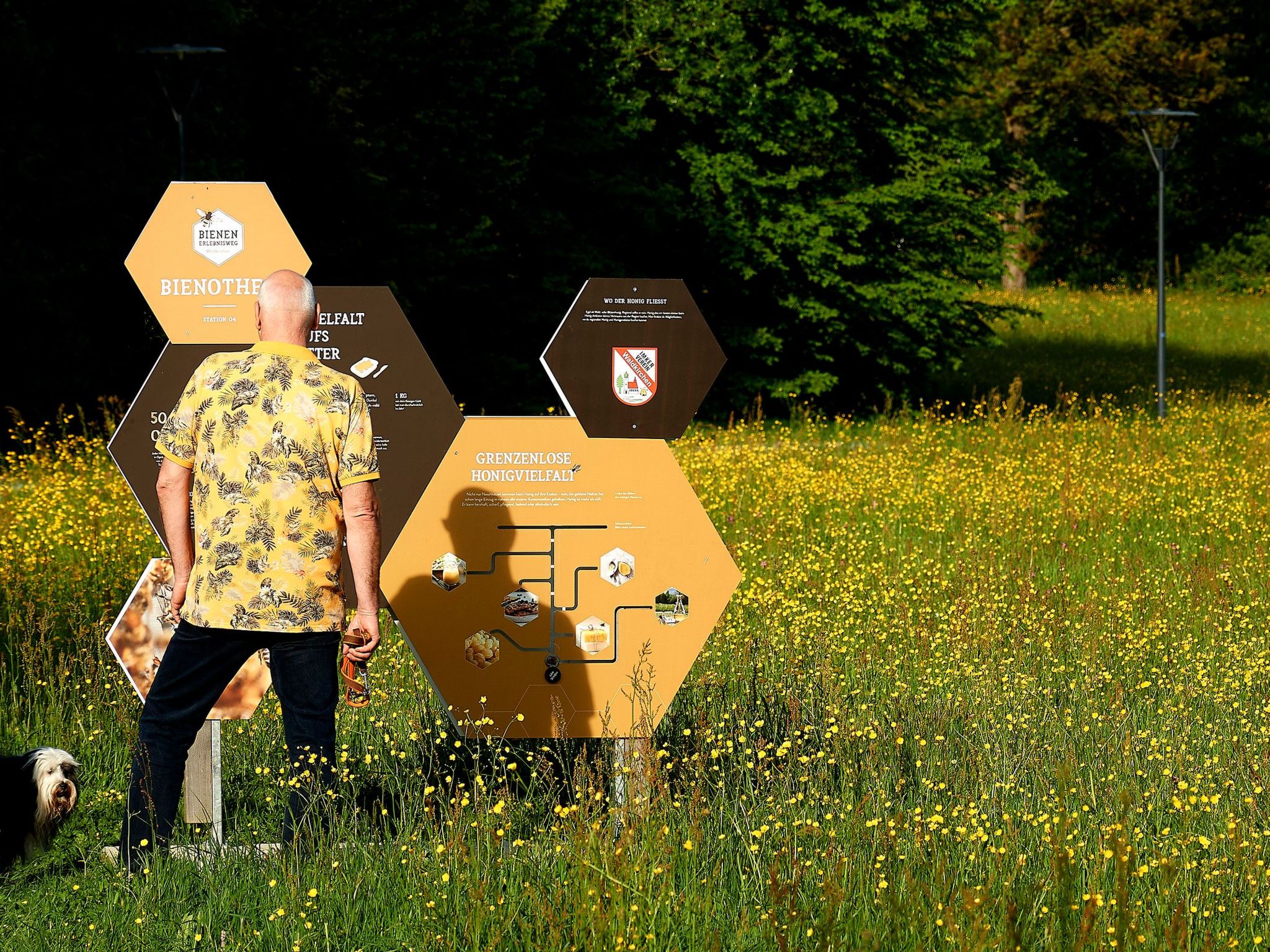 In Waldkirchen mit Garten und Seeblick-Binnen