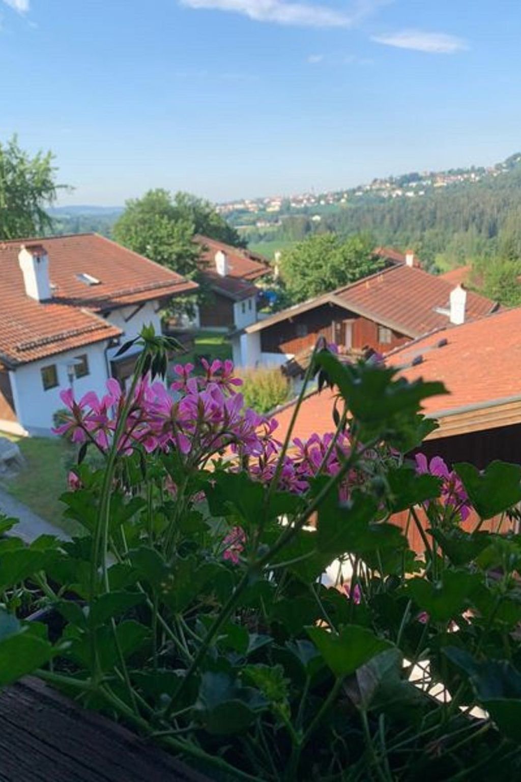 Appartement in Raßreuth mit gemeinsamem Pool-Binnen
