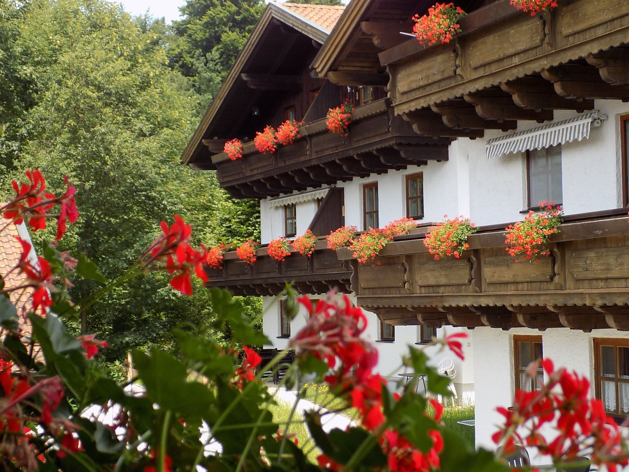 Wohnung mit möblierter Terrasse und Waldblick-Binnen