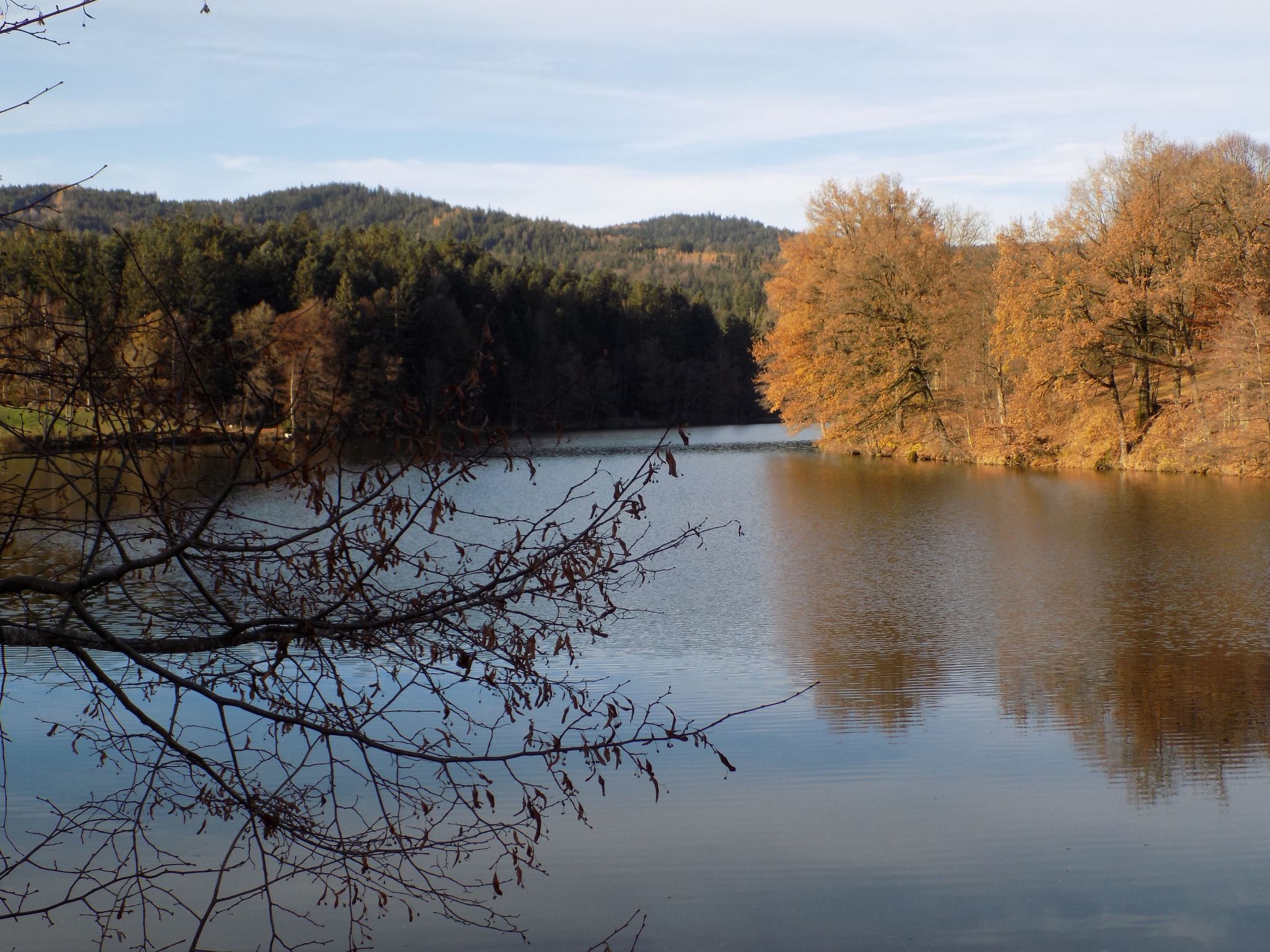 Wohnung mit möblierter Terrasse und Waldblick-Binnen