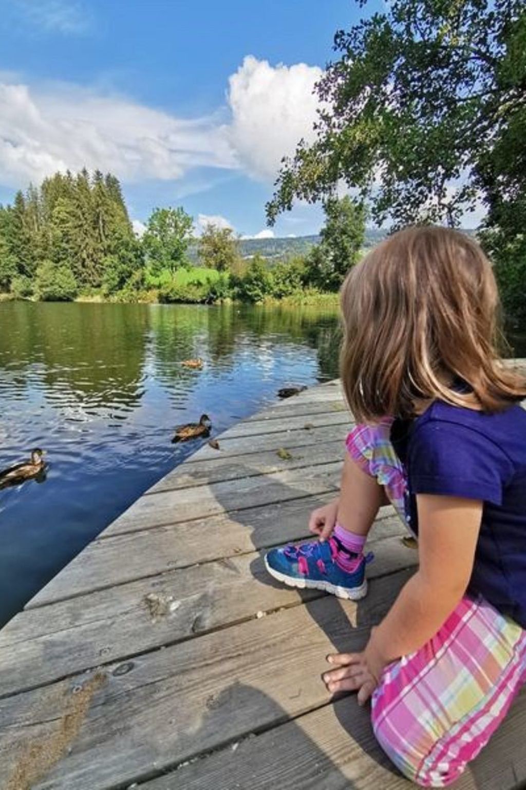 Wohnung mit möblierter Terrasse und Waldblick-Binnen