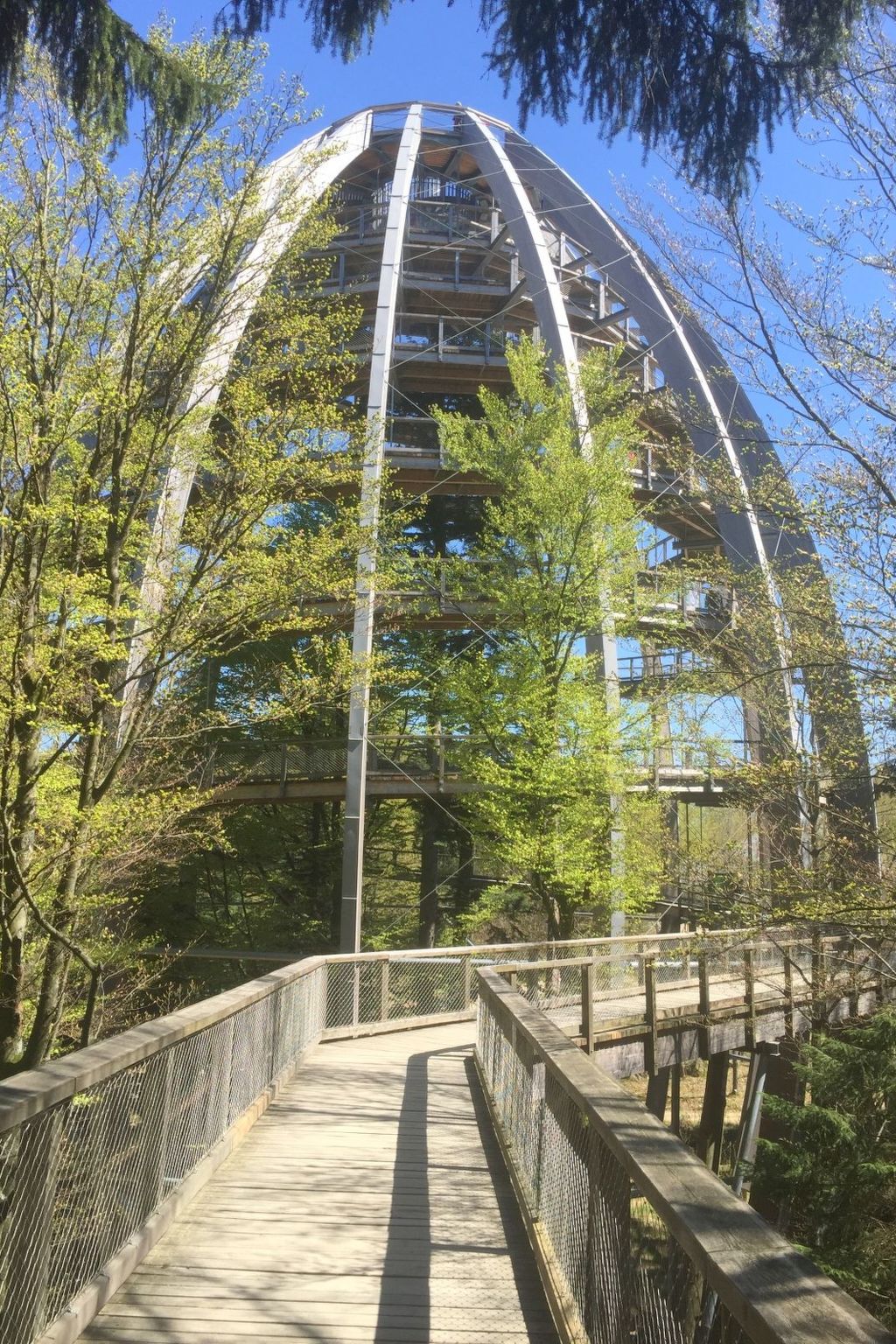 Wohnung mit möblierter Terrasse und Waldblick-Binnen