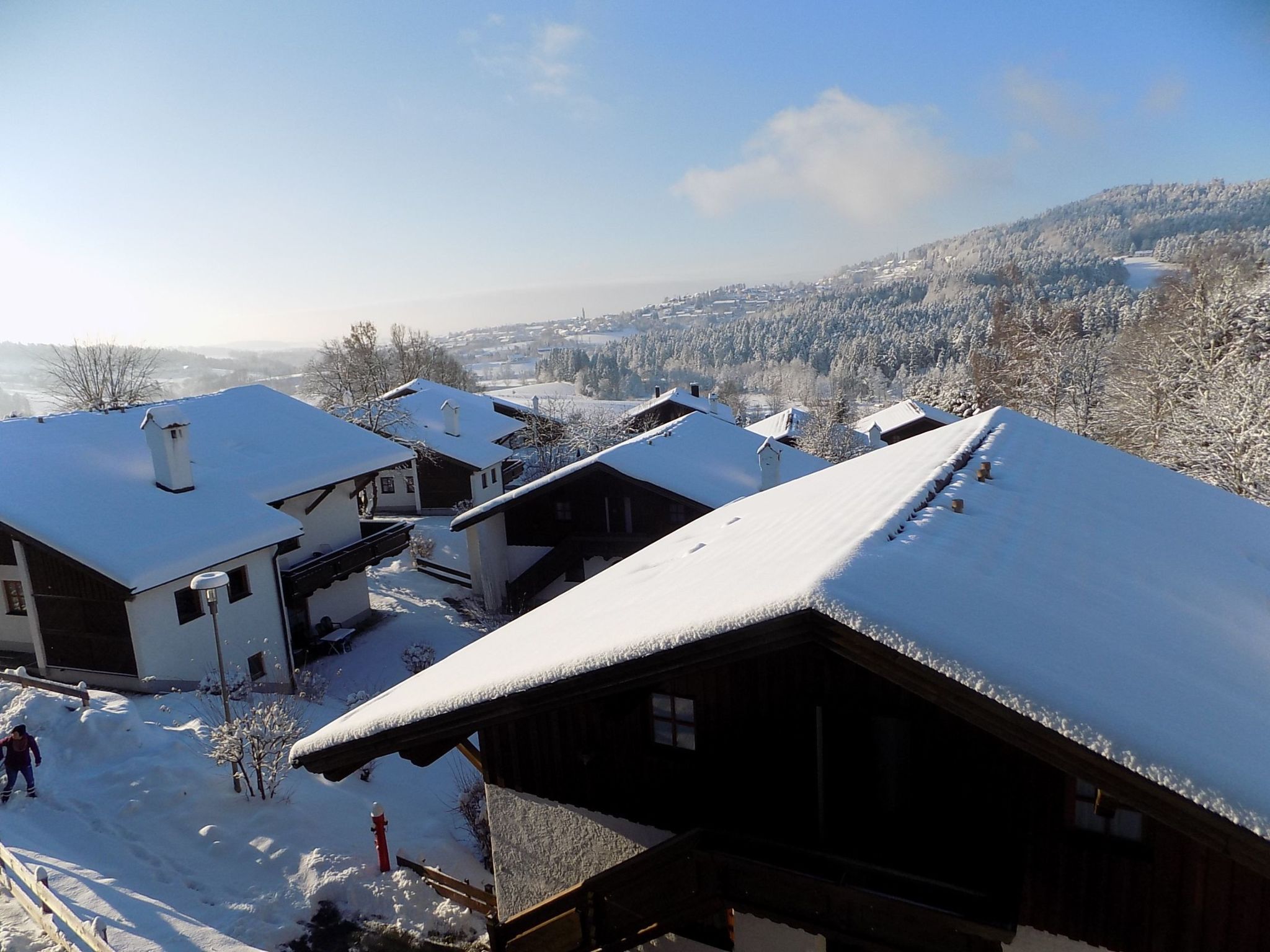 Wohnung mit möblierter Terrasse und Waldblick-Binnen