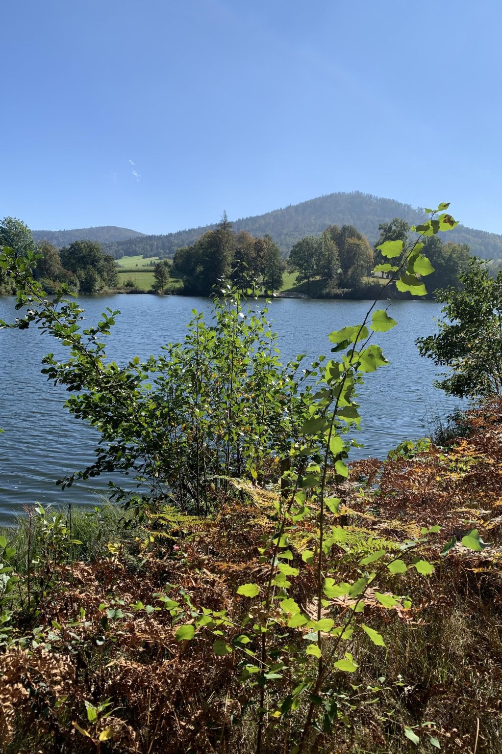 Gemütliche Ferienwohnung mit gemeinsamem Pool-Image-tags.info