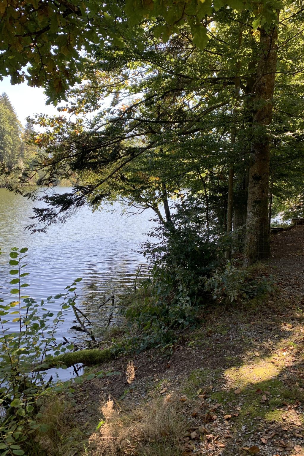 Gemütliche Ferienwohnung mit gemeinsamem Pool-Image-tags.info