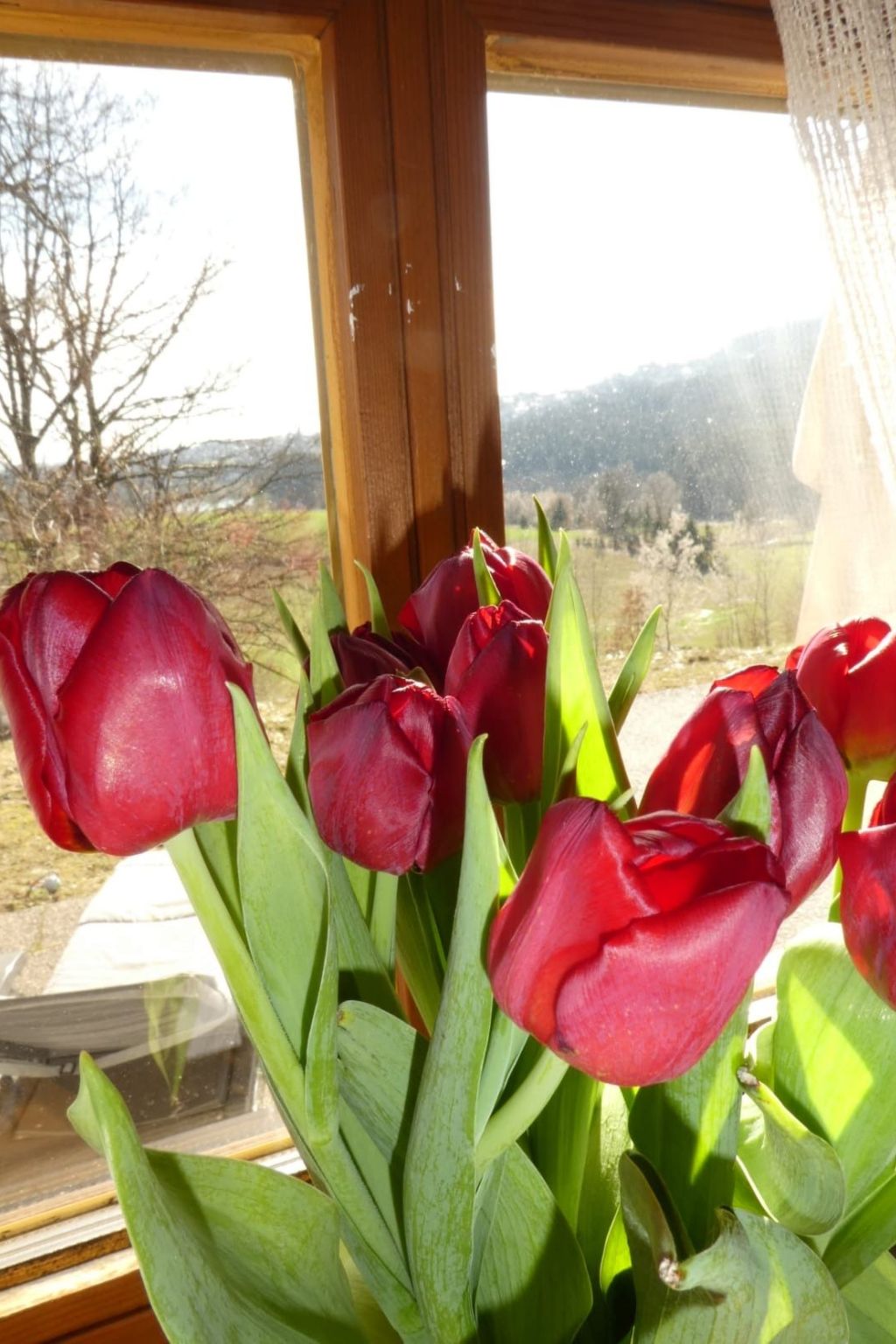 Relax Family Stay-Image-tags.info