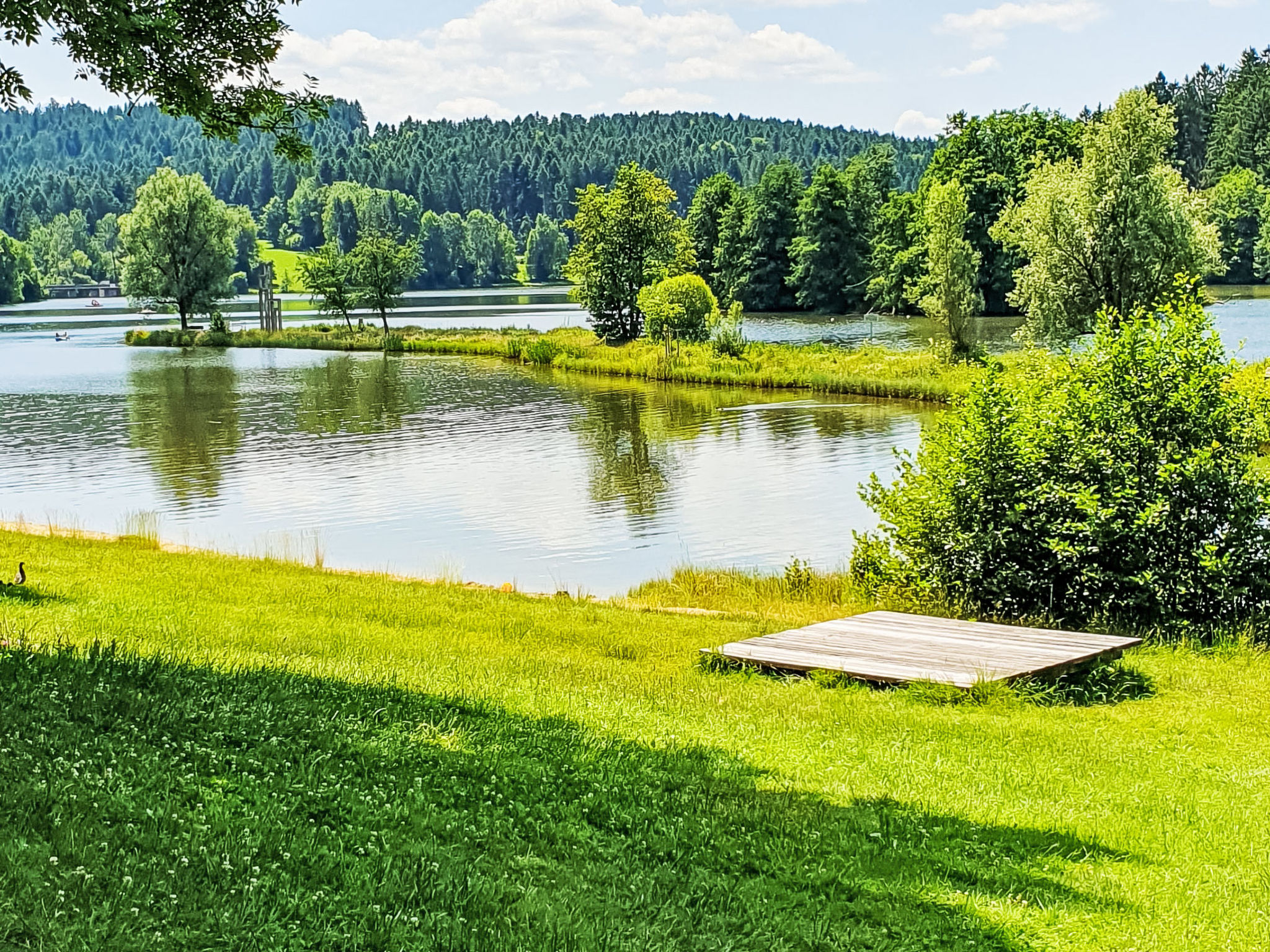 Gemütliche Ferienwohnung mit Blick auf die Donau - Buiten