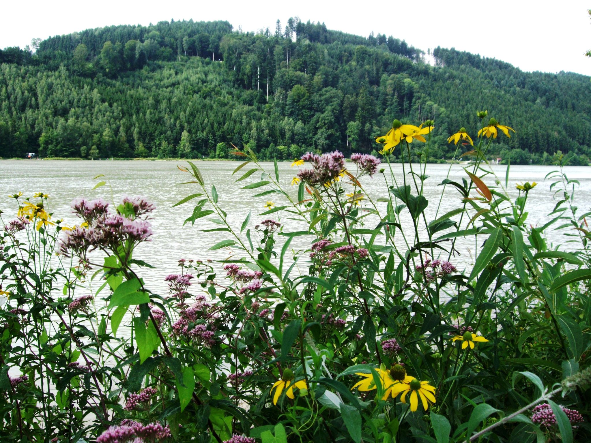 Örtl in Obernzell-Binnen