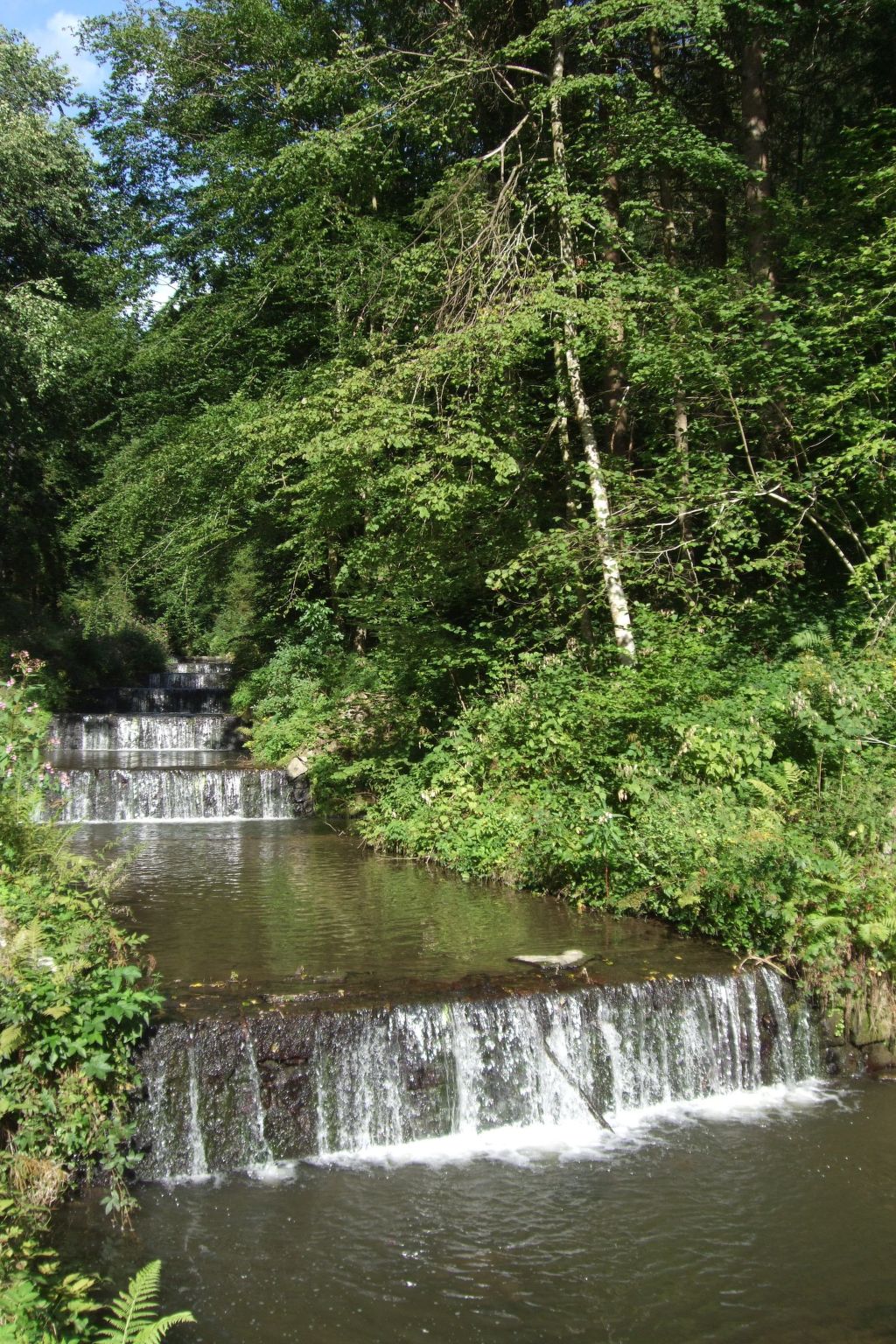 Örtl in Obernzell-Binnen