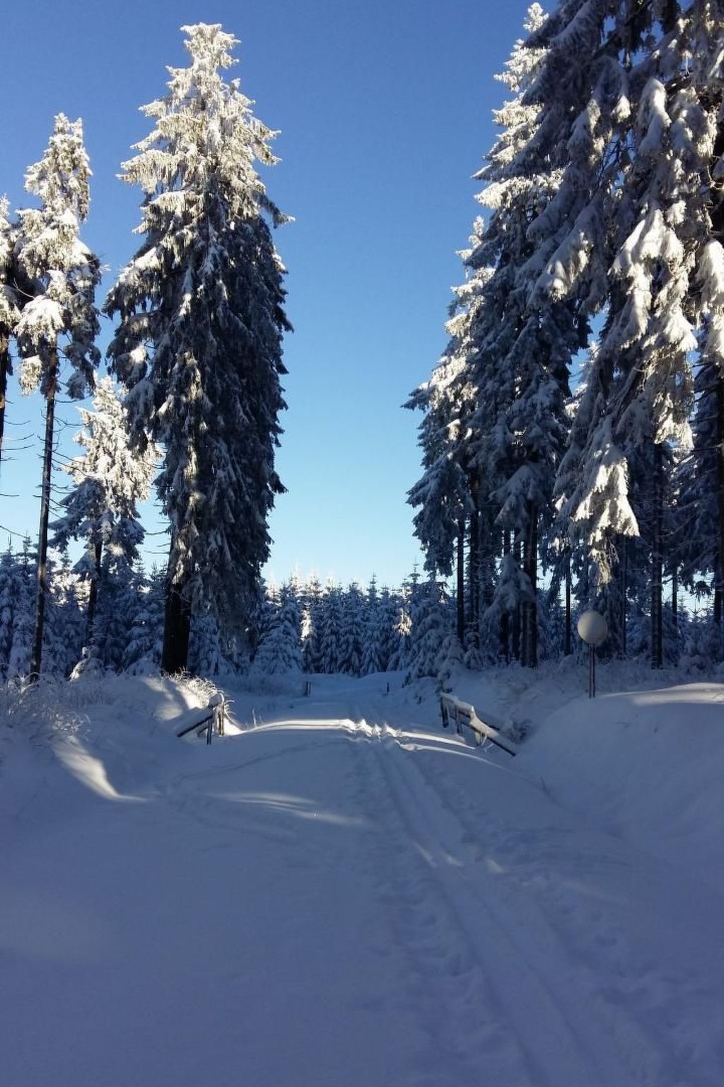 Idyllische Ferienwohnung mit Blick auf die Donau - Binnen