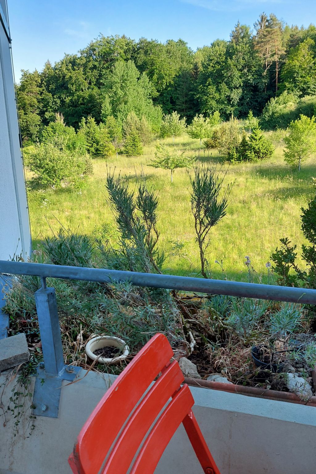 Große Wohnung in Gleislhof mit Möbliertem Balkon-Buiten