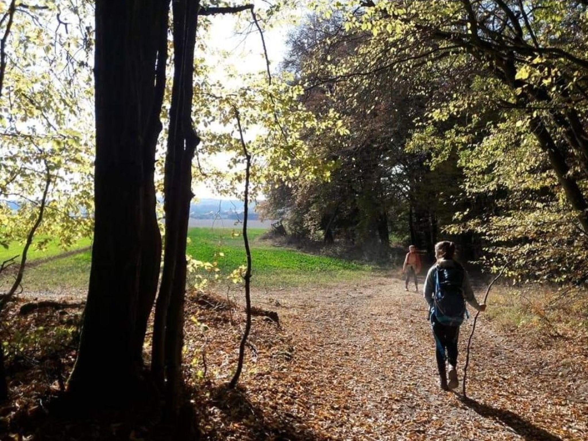 Große Wohnung in Gleislhof mit Möbliertem Balkon-Buiten