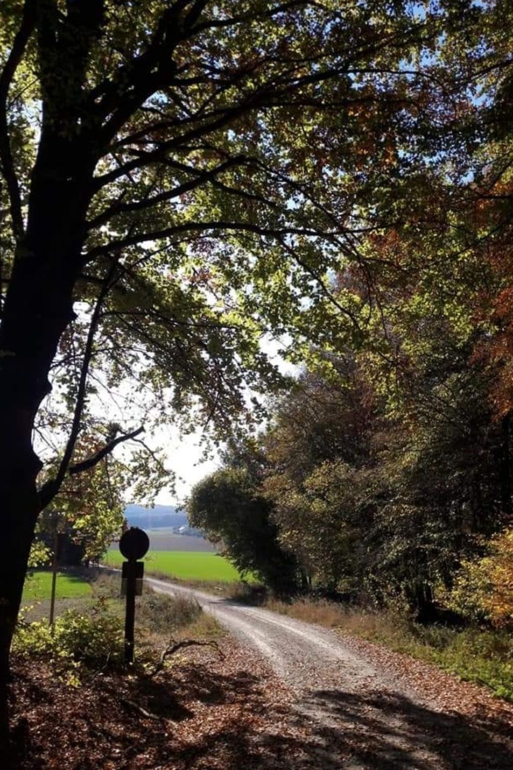 Große Wohnung in Gleislhof mit Möbliertem Balkon-Image-tags.info