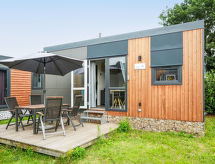 Tiny Haus Central