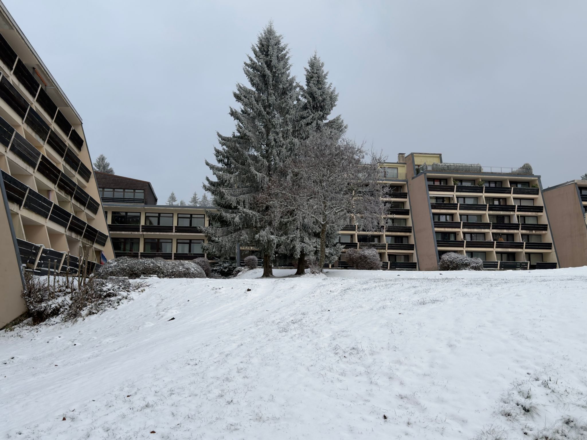 Apartment Luna-Image-tags.info