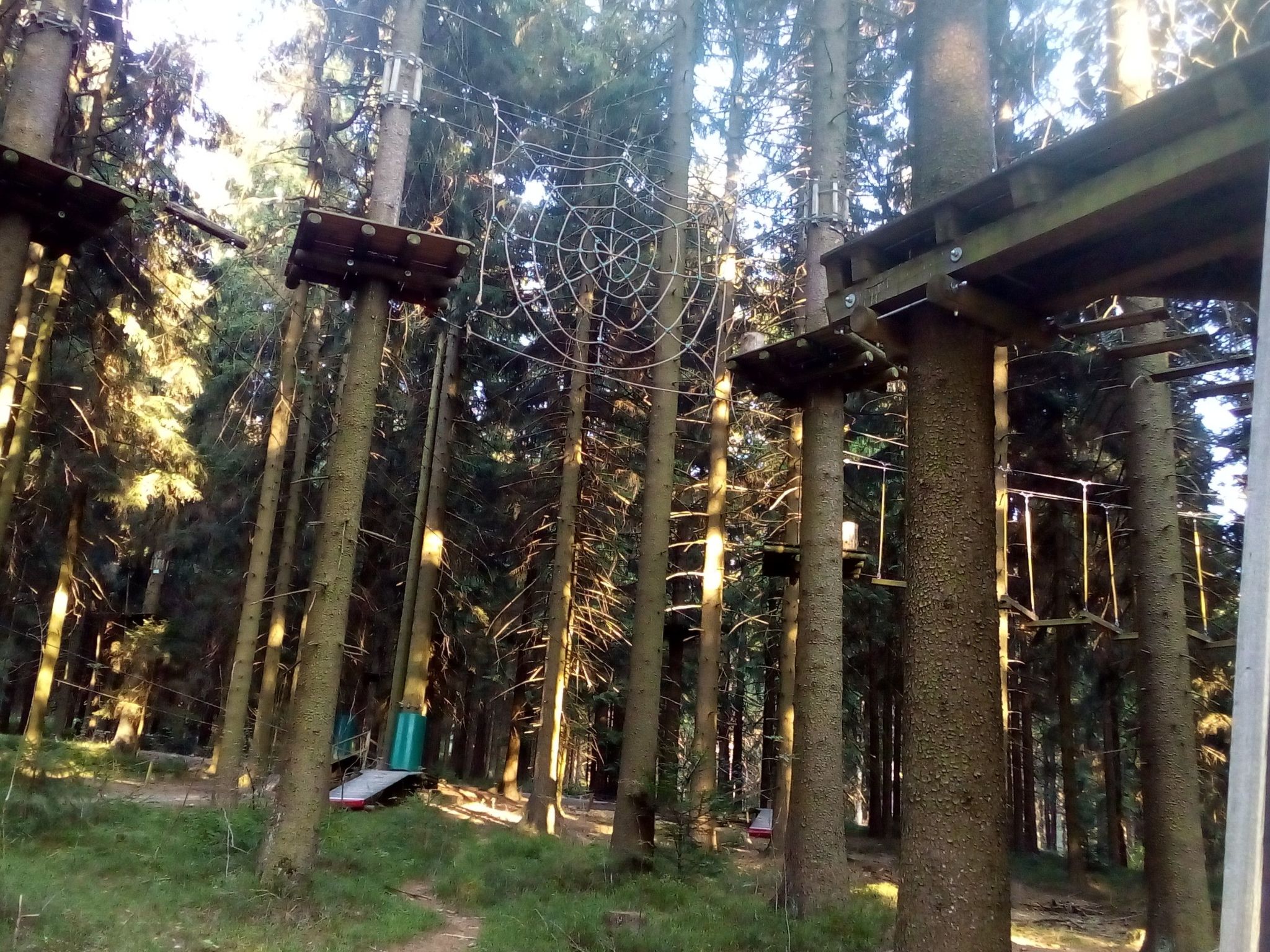 Sonnenschein in Sankt Englmar-Binnen